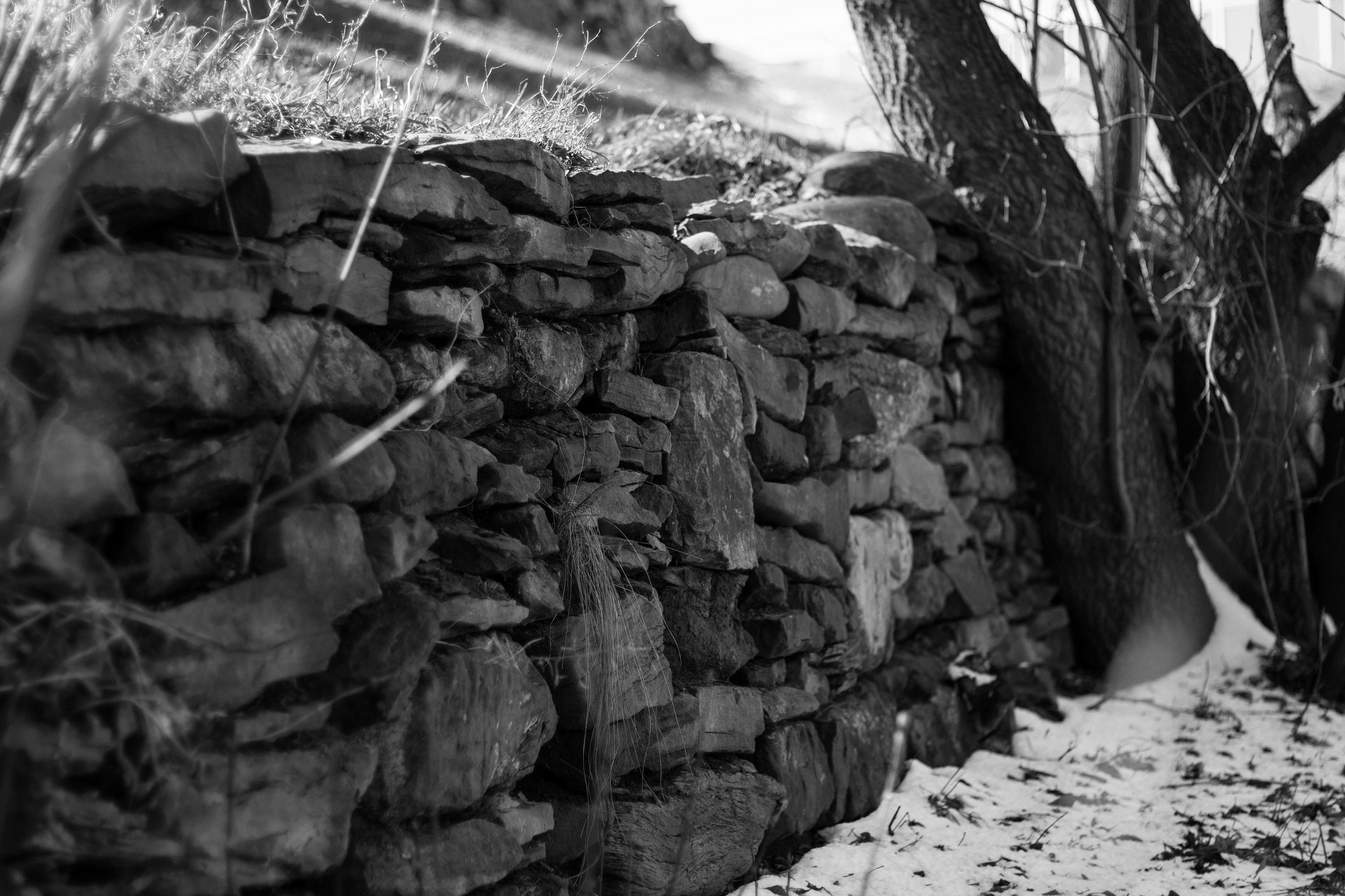 Canon EOS 600D (Rebel EOS T3i / EOS Kiss X5) + Canon EF 50mm F1.8 II sample photo. The stone wall photography
