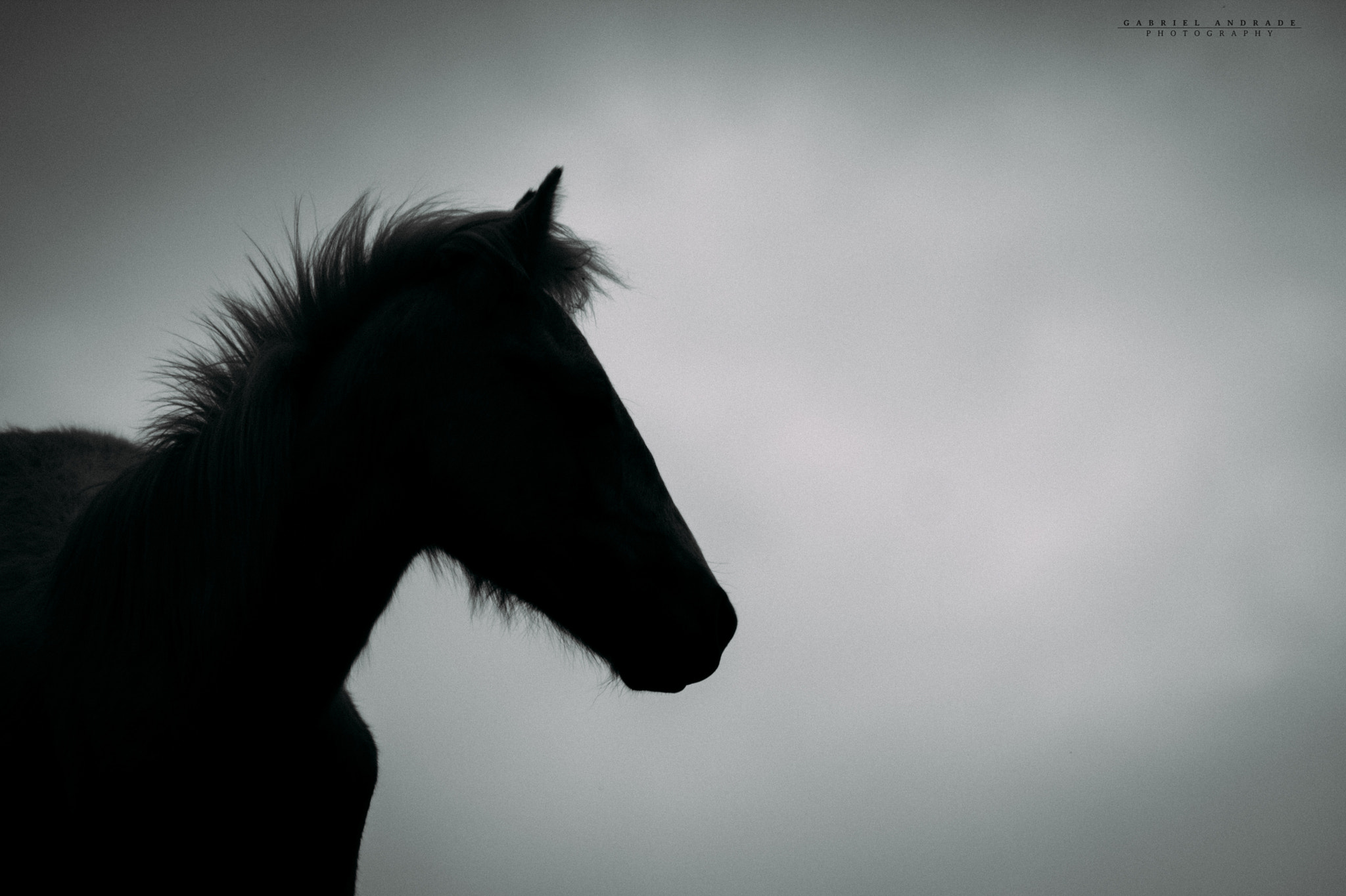 Canon EOS 600D (Rebel EOS T3i / EOS Kiss X5) sample photo. ©gabriel andrade photography