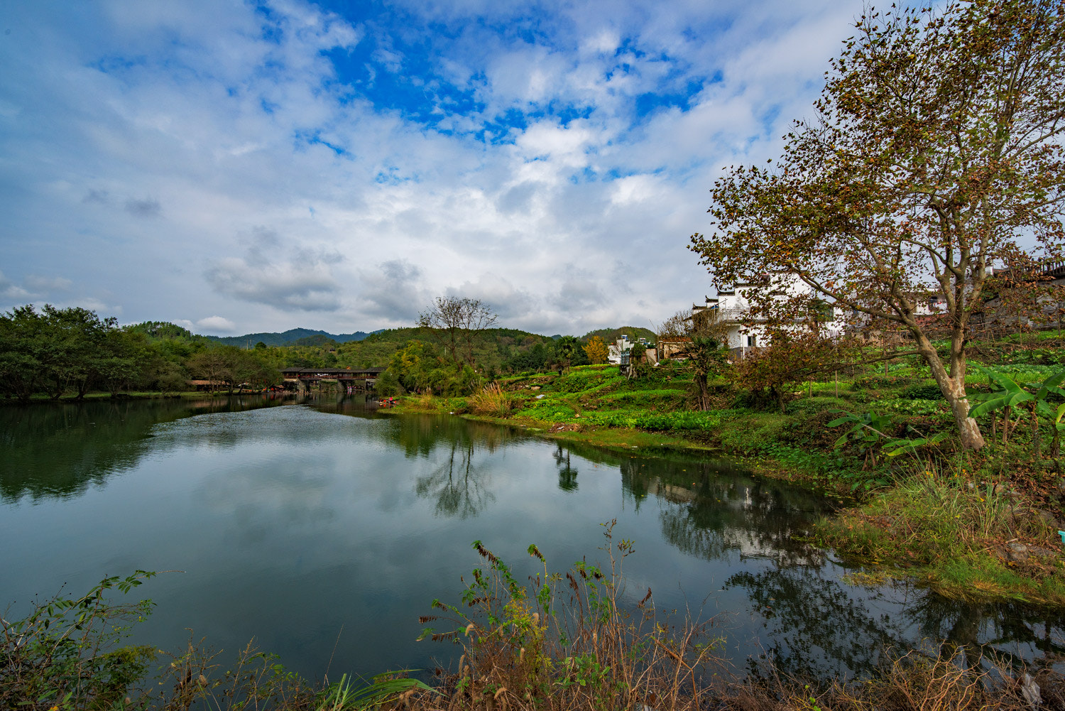 Nikon D810 sample photo