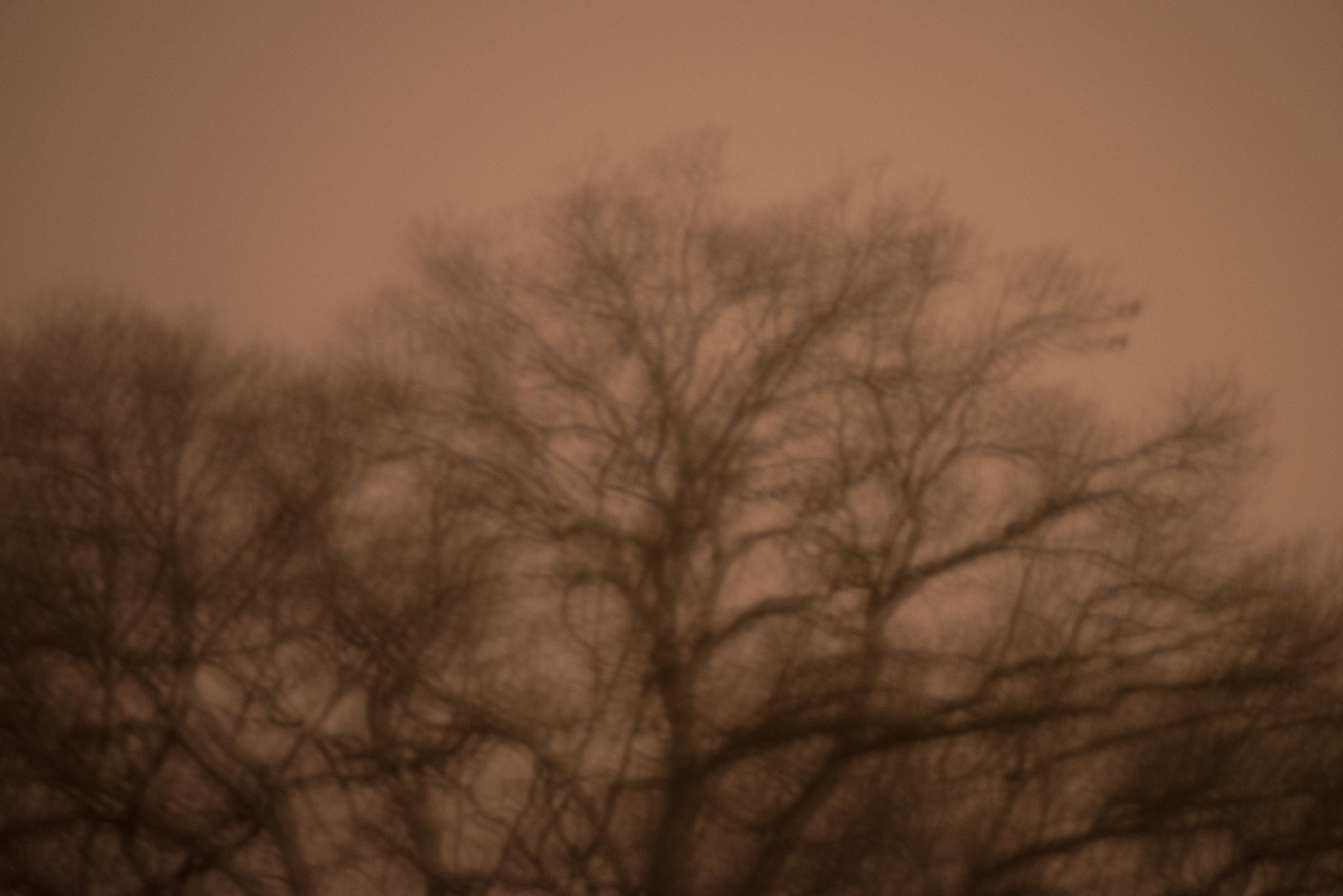 Pentax smc D-FA 100mm F2.8 Macro WR sample photo. Foggy night with sepia glow from streetlamp photography