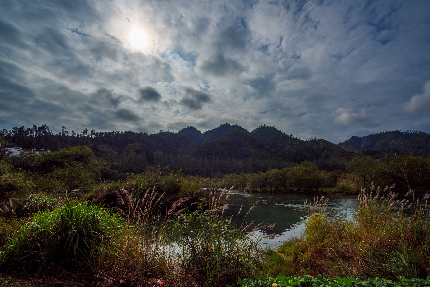 Nikon D810 sample photo
