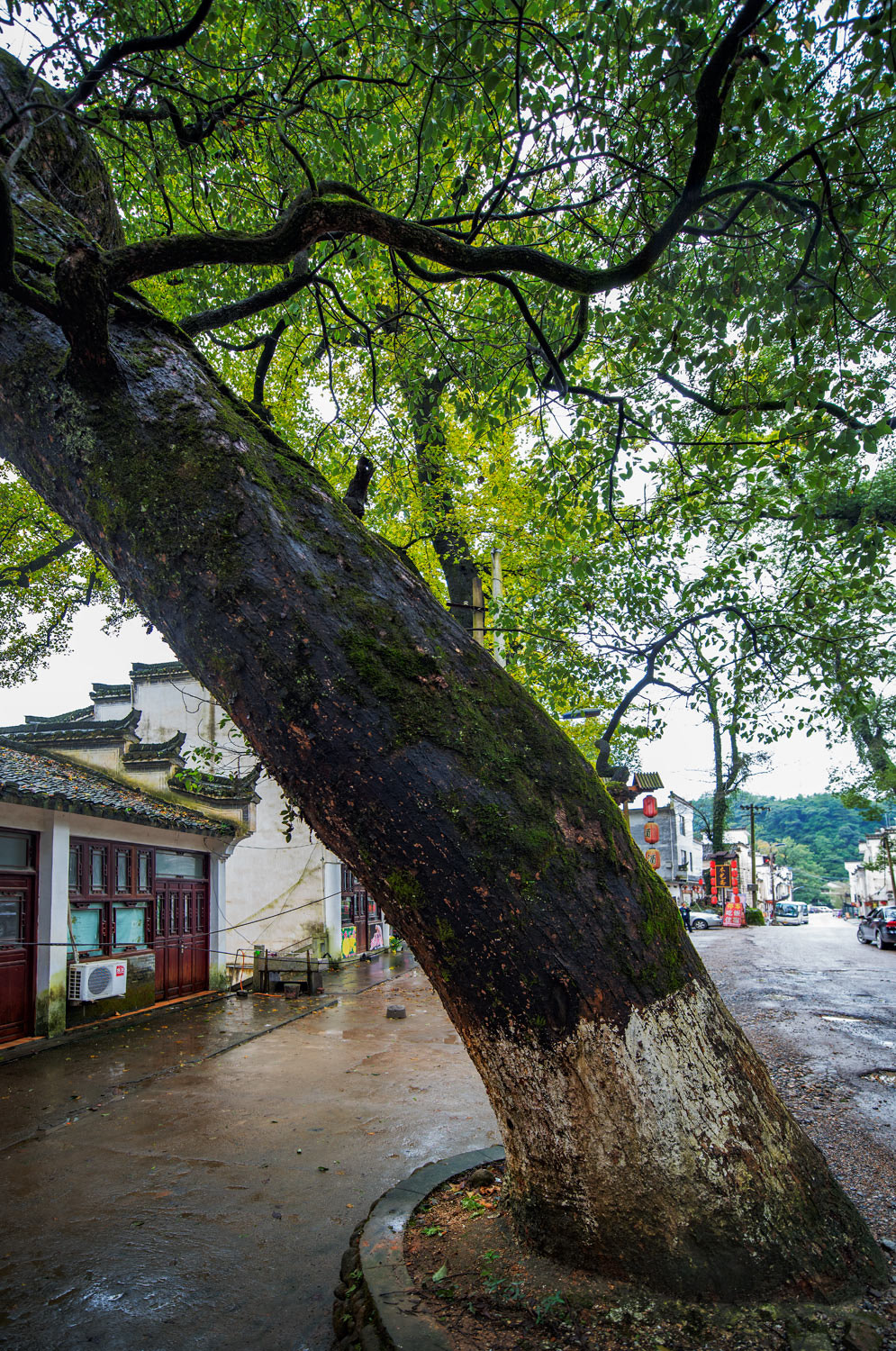 Nikon D810 sample photo