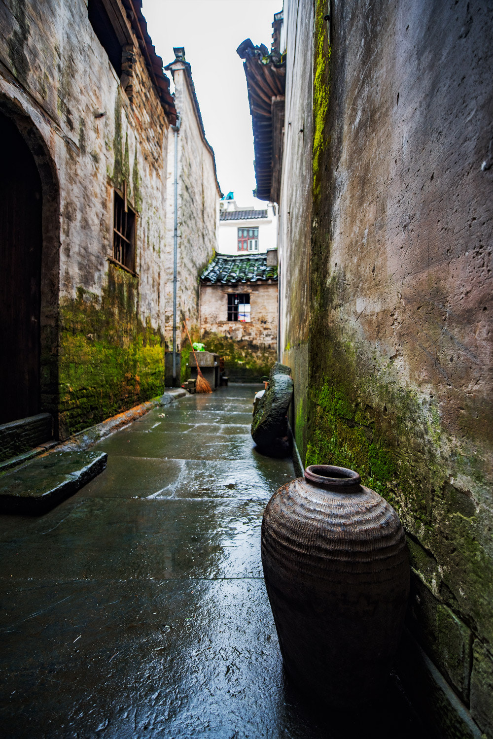 Nikon D810 sample photo