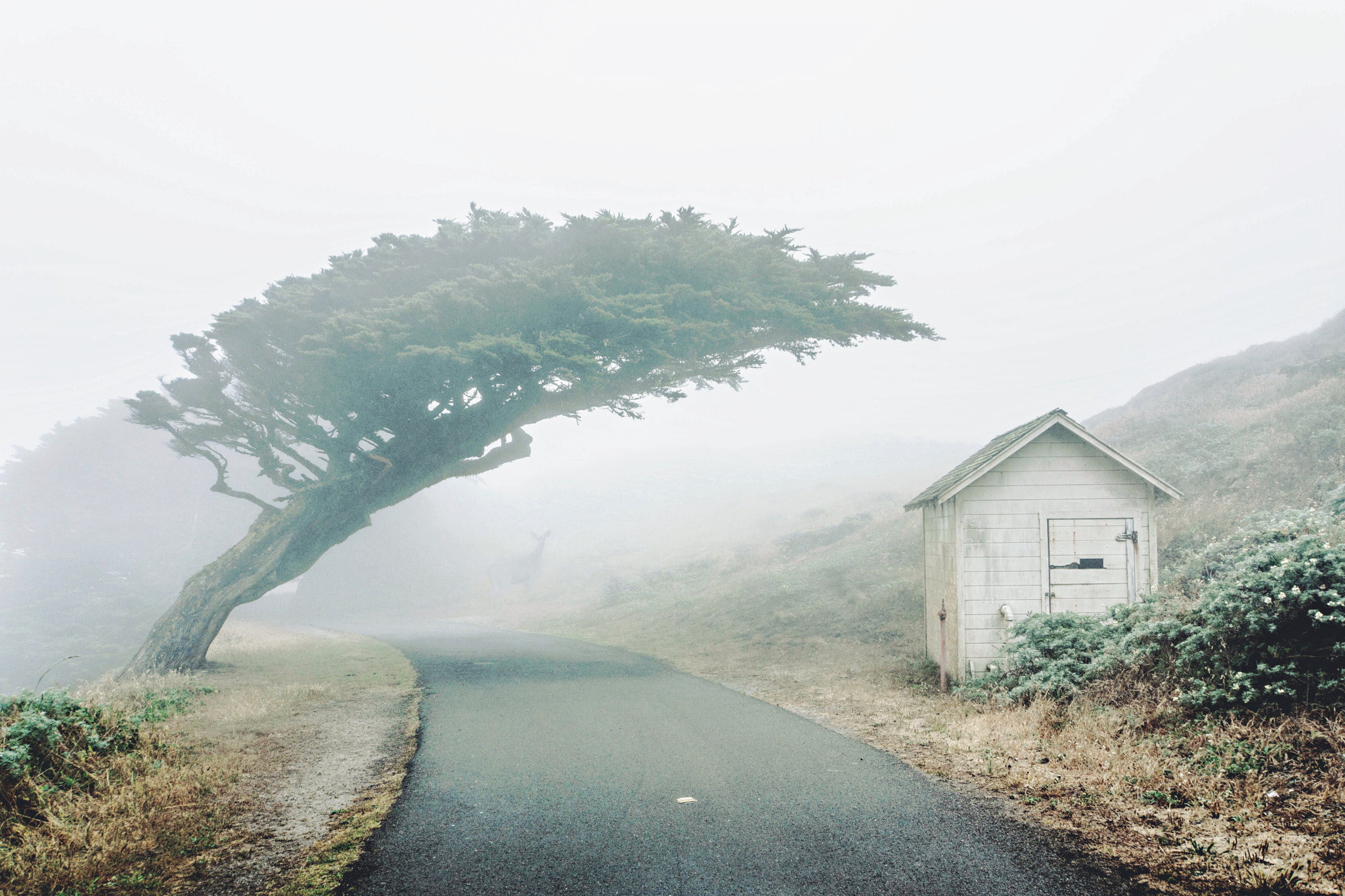 Sony Alpha NEX-7 sample photo. Misty mountains photography