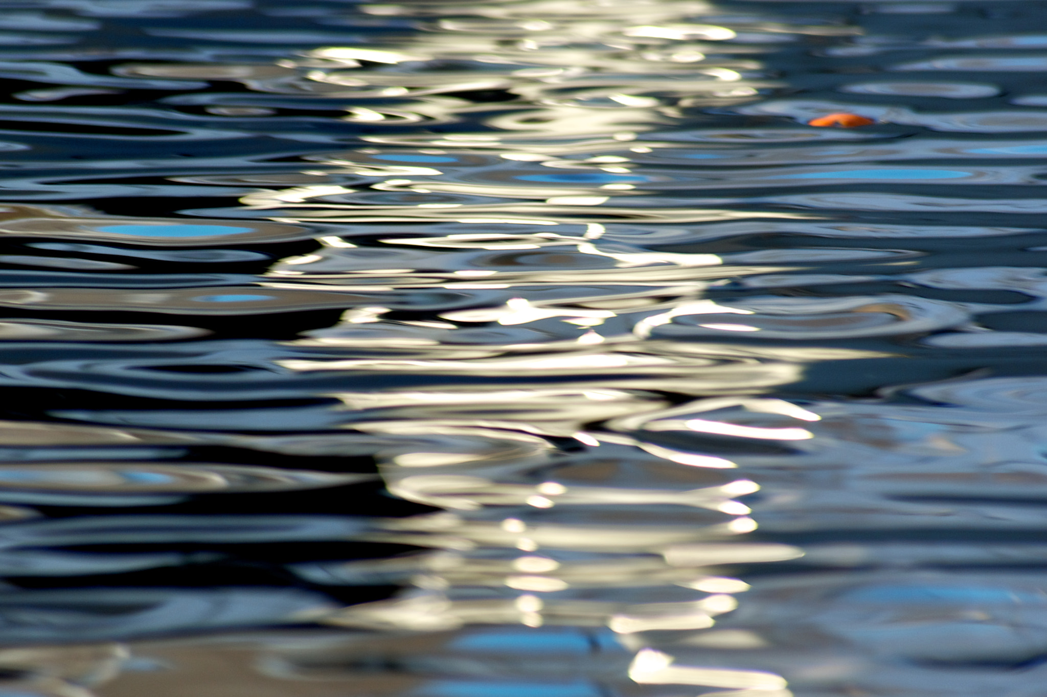 Pentax K10D + Sigma Lens (3 255) sample photo. Reflection study, with leaf (2012) photography