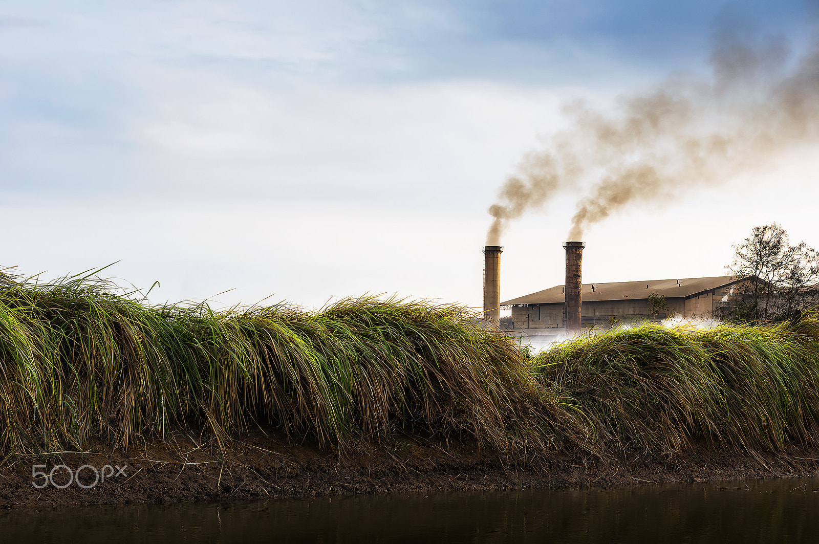 Pentax K-3 II sample photo. Pollution photography