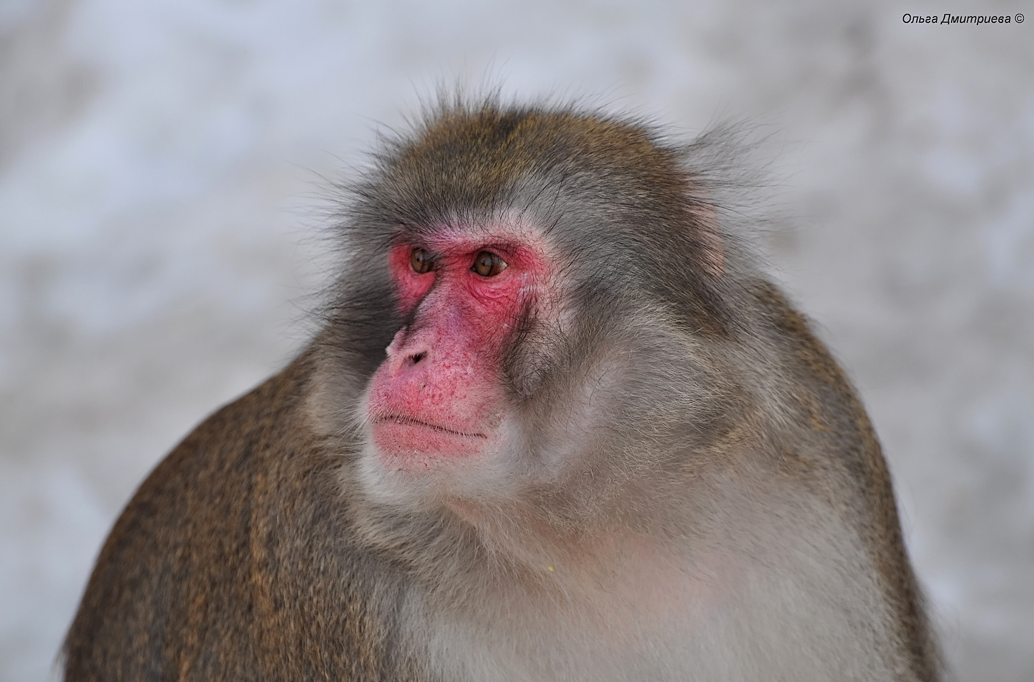 Nikon D5000 sample photo. *** photography