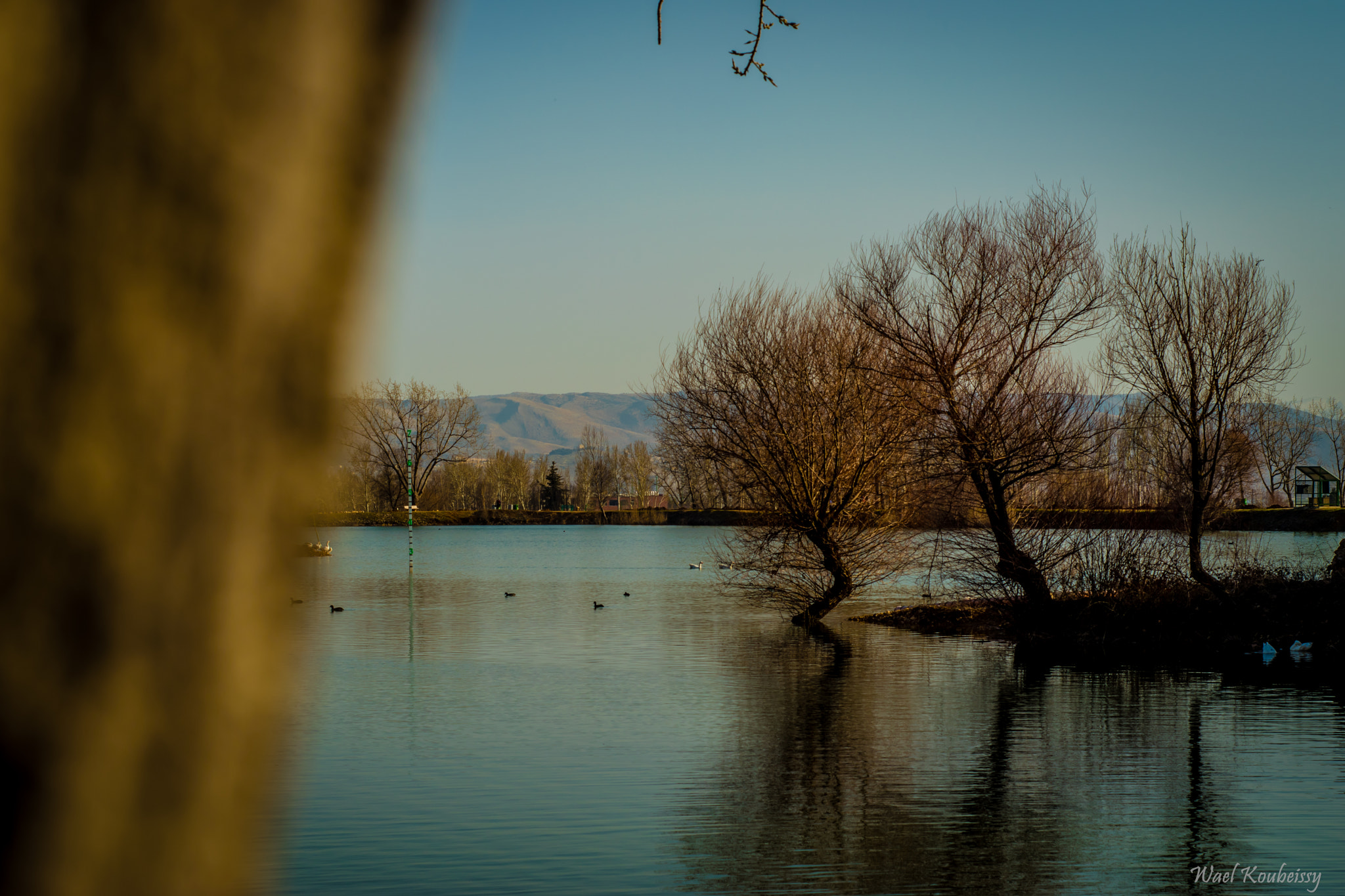 Nikon D5500 + Nikon AF Nikkor 50mm F1.8D sample photo. A peek on the lake photography