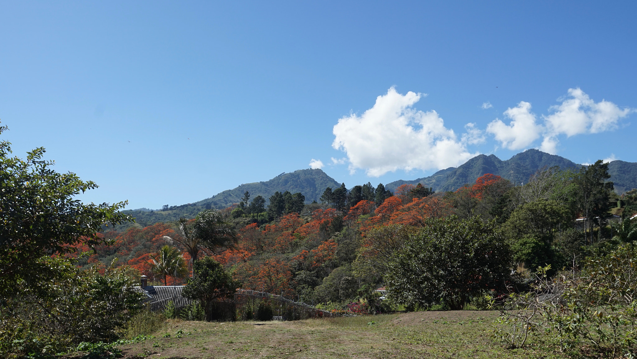 Sony a7R sample photo. Cerros escazú photography