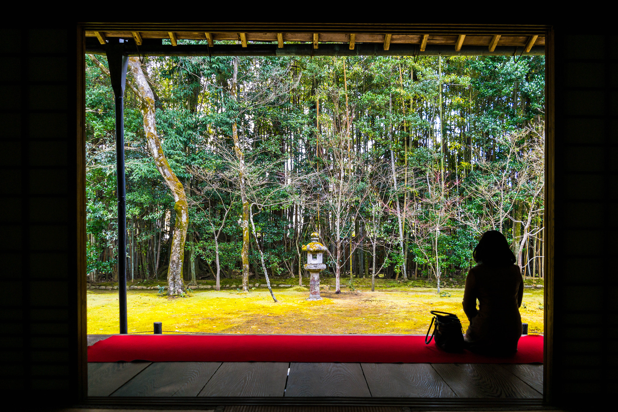 Samsung NX300M + Samsung NX 18-55mm F3.5-5.6 OIS sample photo. Japanese garden photography