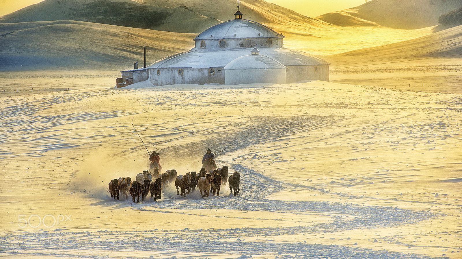 Nikon AF-S Nikkor 70-200mm F2.8G ED VR II sample photo. Winter herd photography