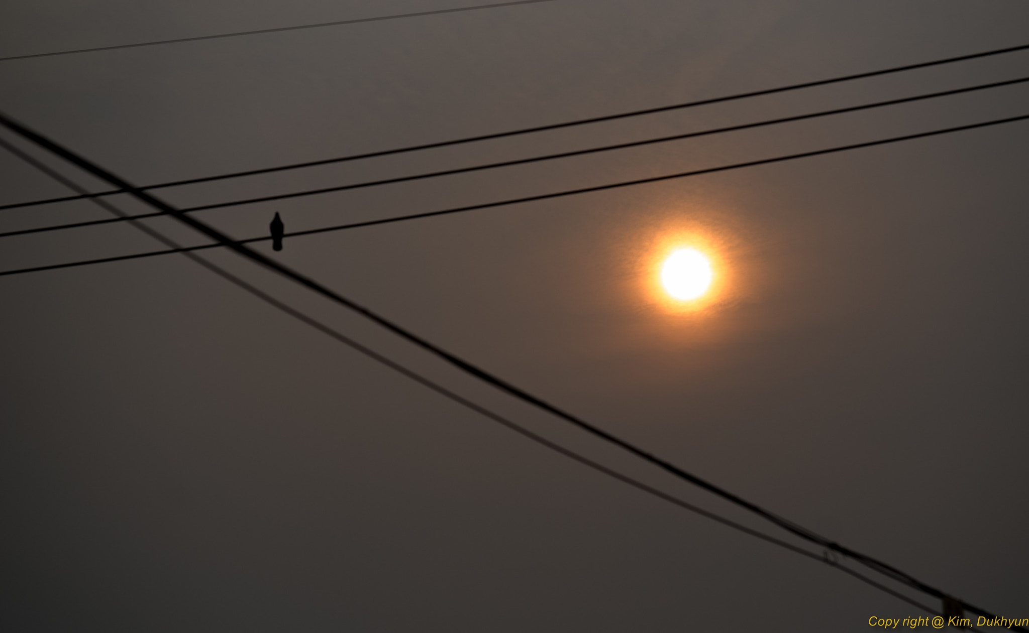 A Series Lens sample photo. Time photography