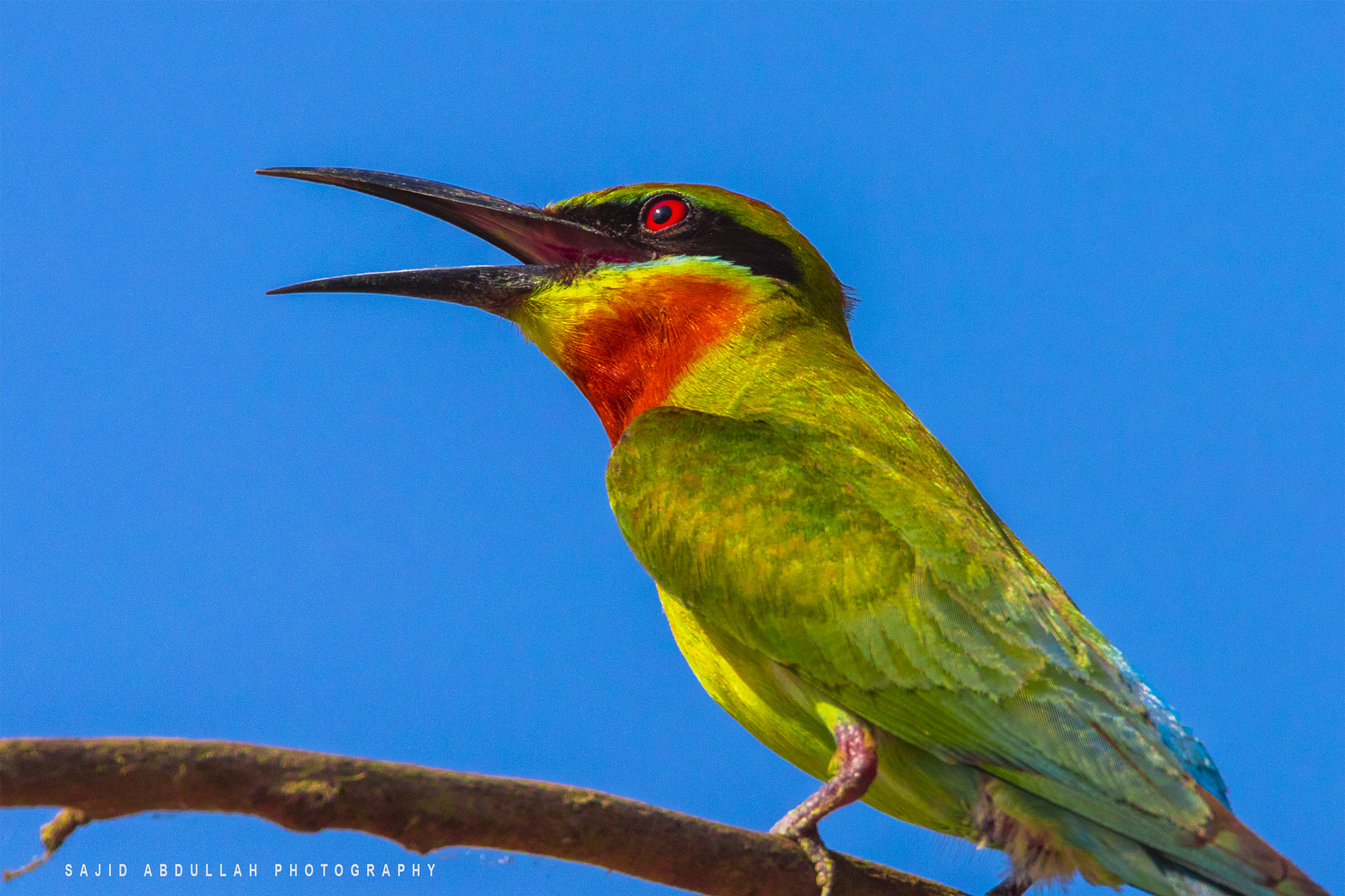 Canon EOS 5DS R sample photo. Colors of nature photography