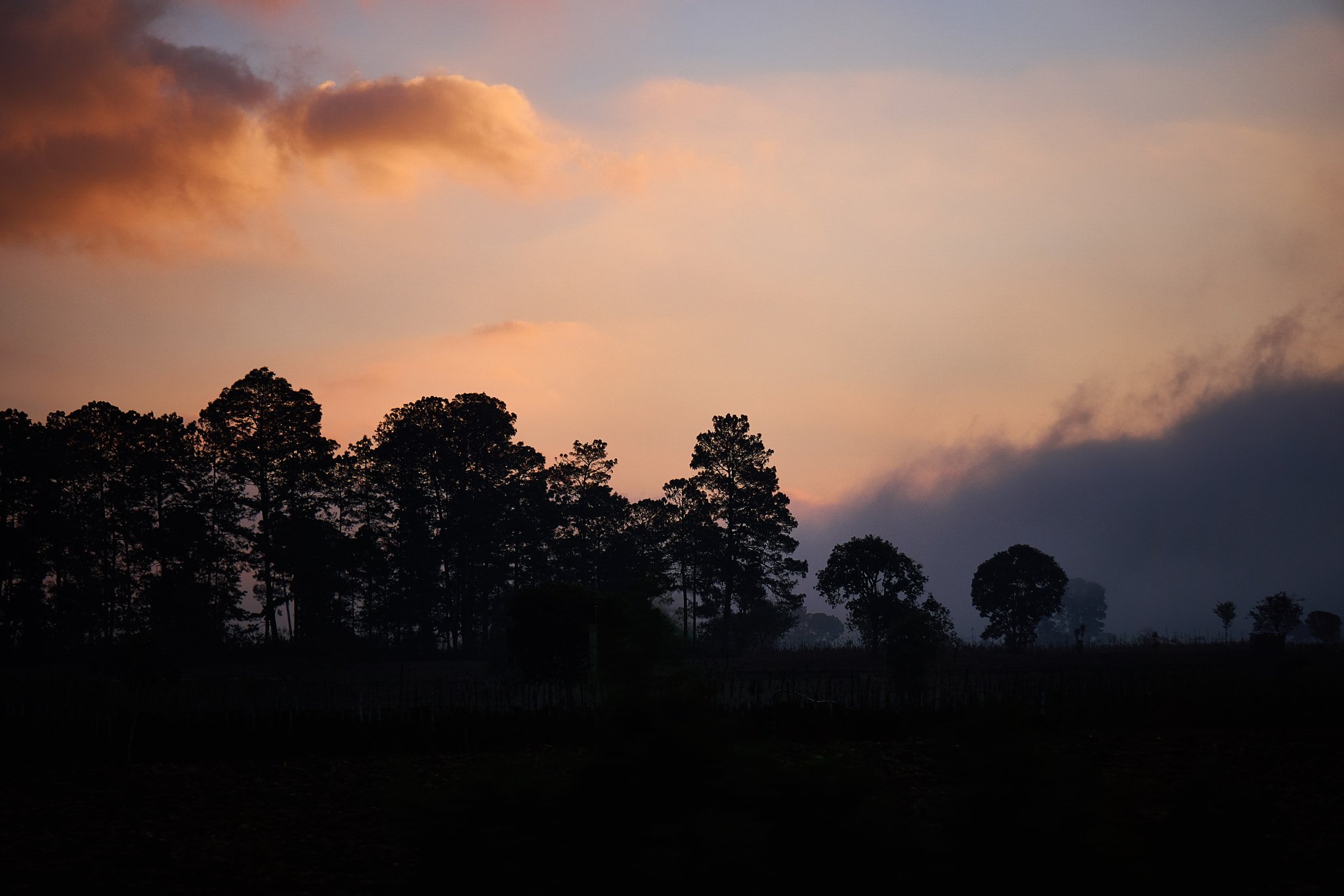 Sony E 55-210mm F4.5-6.3 OSS sample photo. Bruma photography