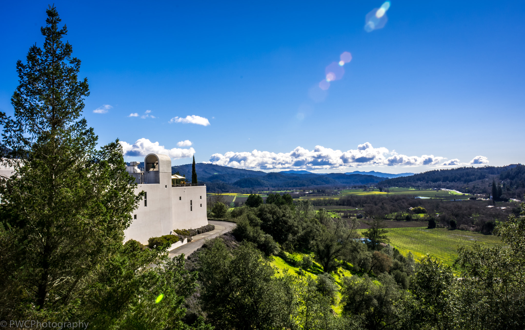 Nikon D7100 + Nikon AF Nikkor 20mm F2.8D sample photo. Sterling vineyard photography