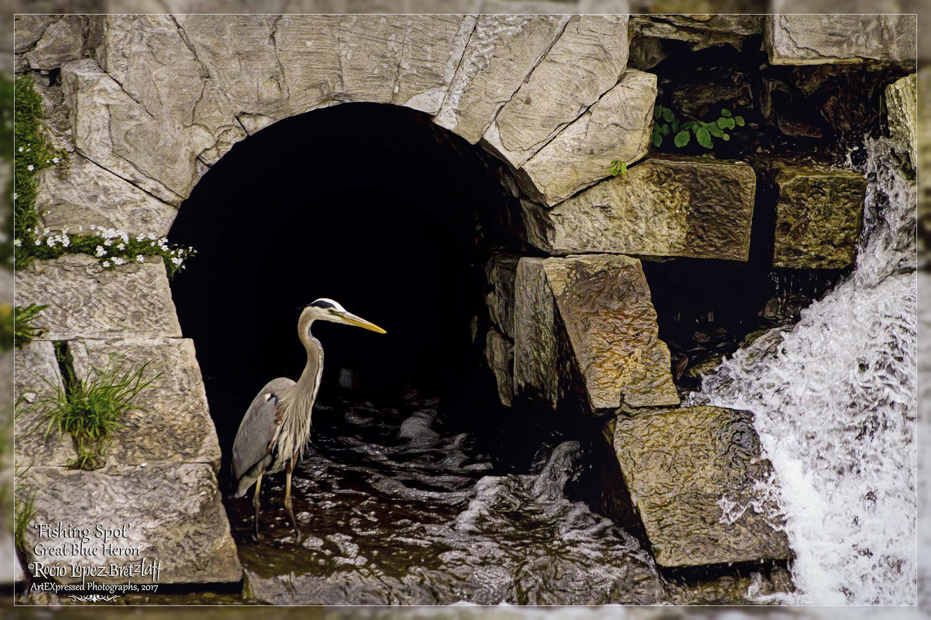 Sigma 70-300mm F4-5.6 APO DG Macro sample photo. Fishing spot photography