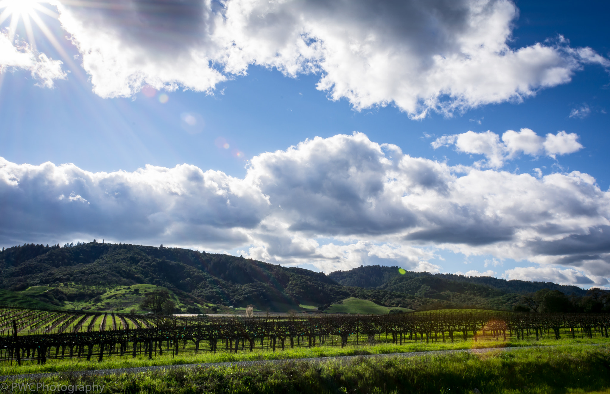 Nikon D7100 + Nikon AF Nikkor 20mm F2.8D sample photo. Napa valley afternoon photography