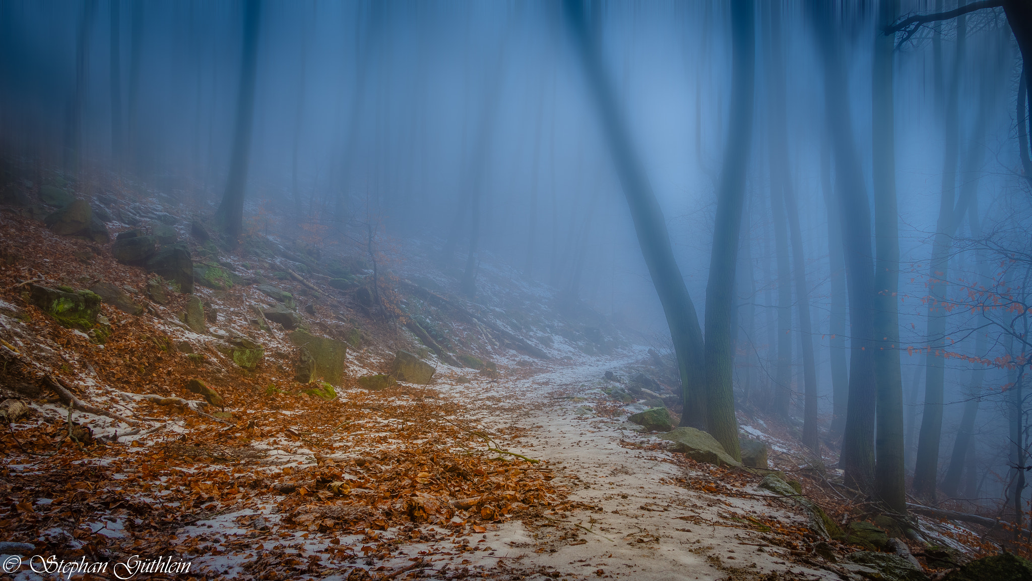 Canon EF-S 17-55mm F2.8 IS USM sample photo. Follow the path into the misty mountains photography