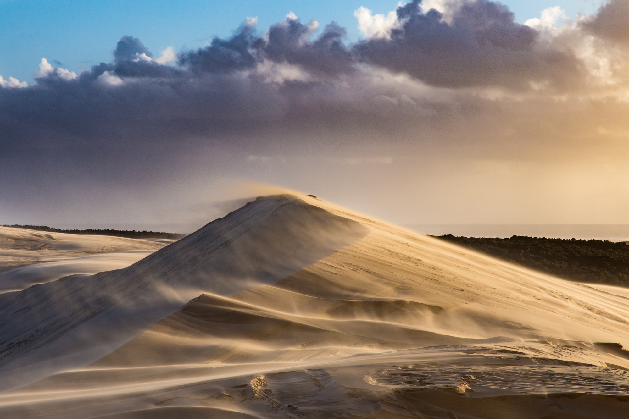 Canon EOS 6D + Sigma 24-105mm f/4 DG OS HSM | A sample photo. Sand storm photography