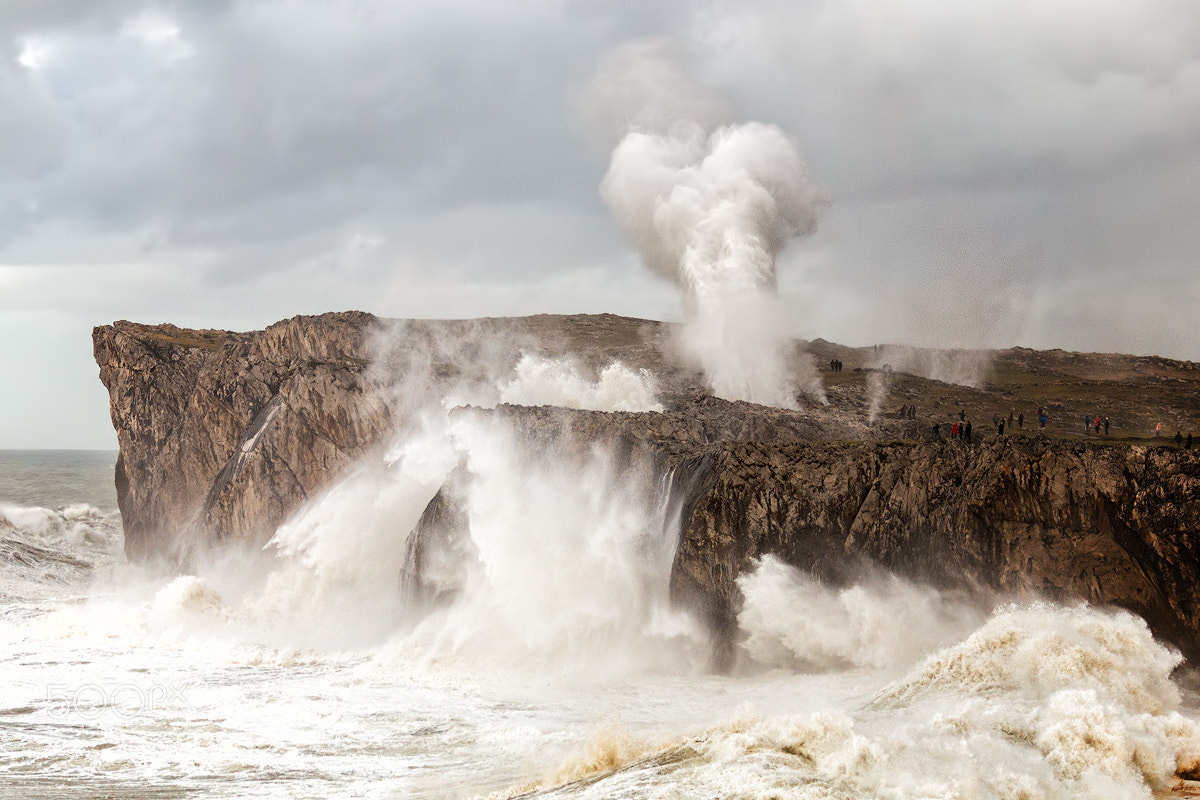 Canon EOS 6D + Canon EF 70-200mm F2.8L USM sample photo. La furia de doris photography