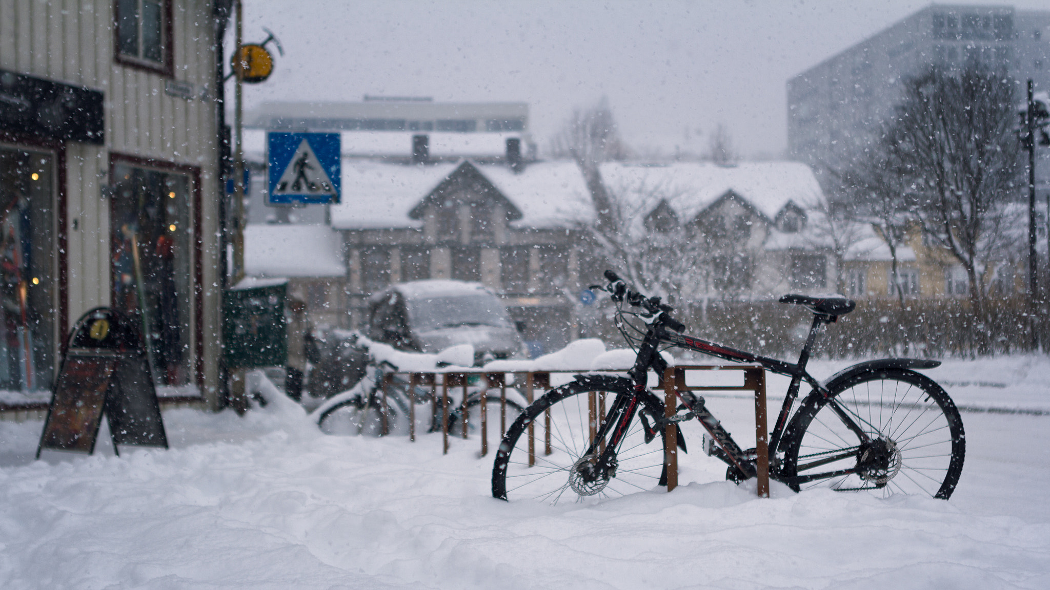 Canon EOS 60D + Canon EF 24-70mm F2.8L USM sample photo. Oh bicycle~! photography