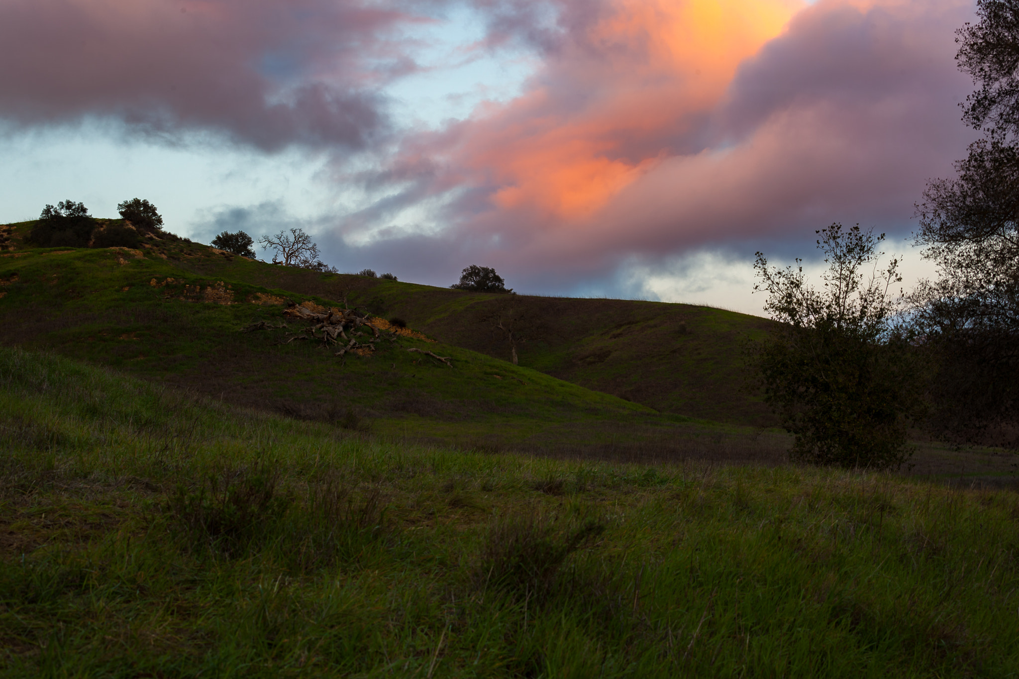 Canon EF 70-300mm F4-5.6L IS USM sample photo. Malibu sunset photography