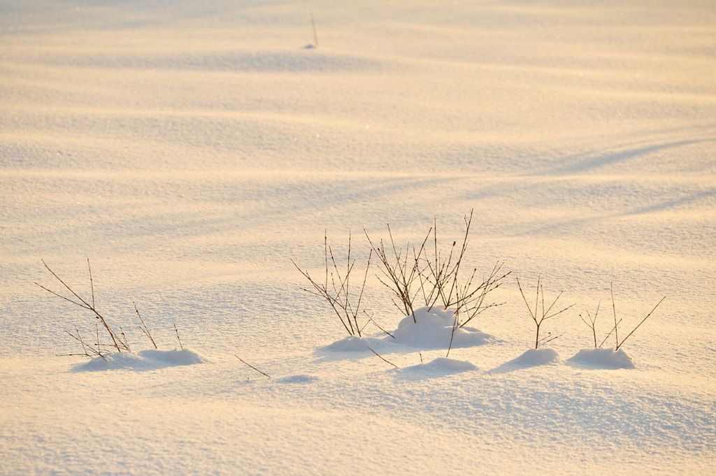 Nikon D3S sample photo. 氷雪の海原16時 photography