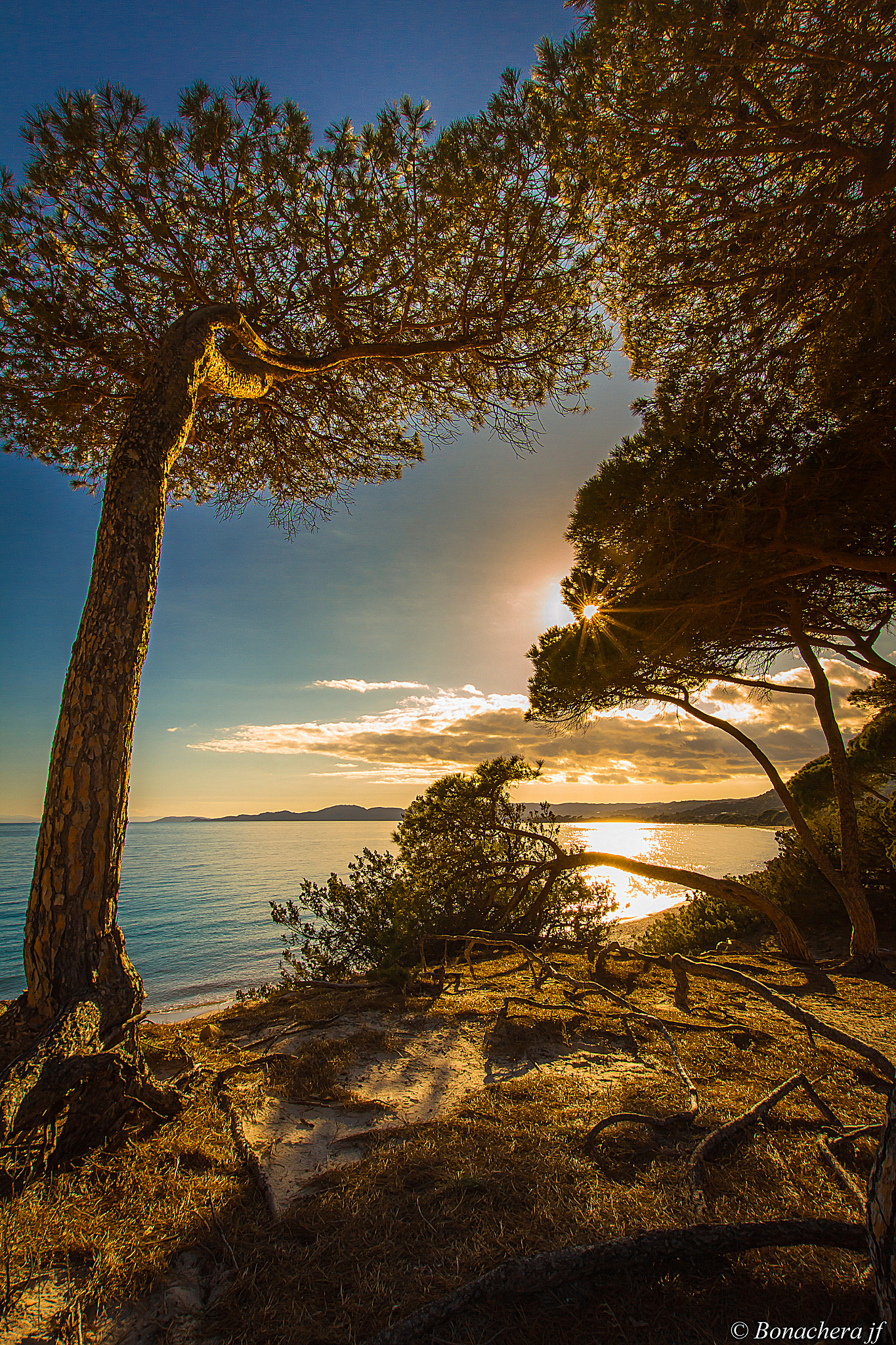 Sigma 10-20mm F3.5 EX DC HSM sample photo. Palombaggia beach (2) photography