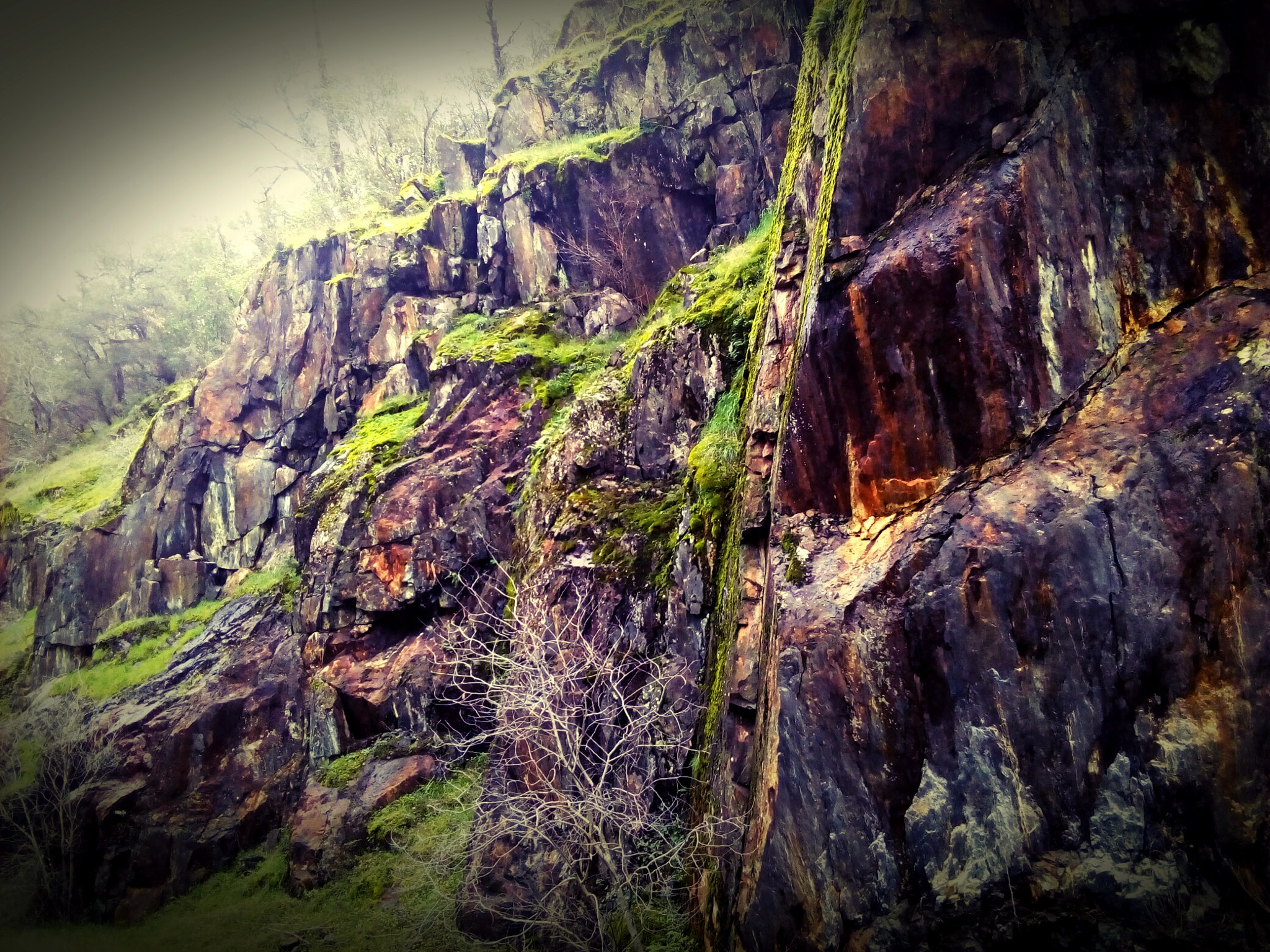 ZTE BLADE A452 sample photo. More moss and rocks photography