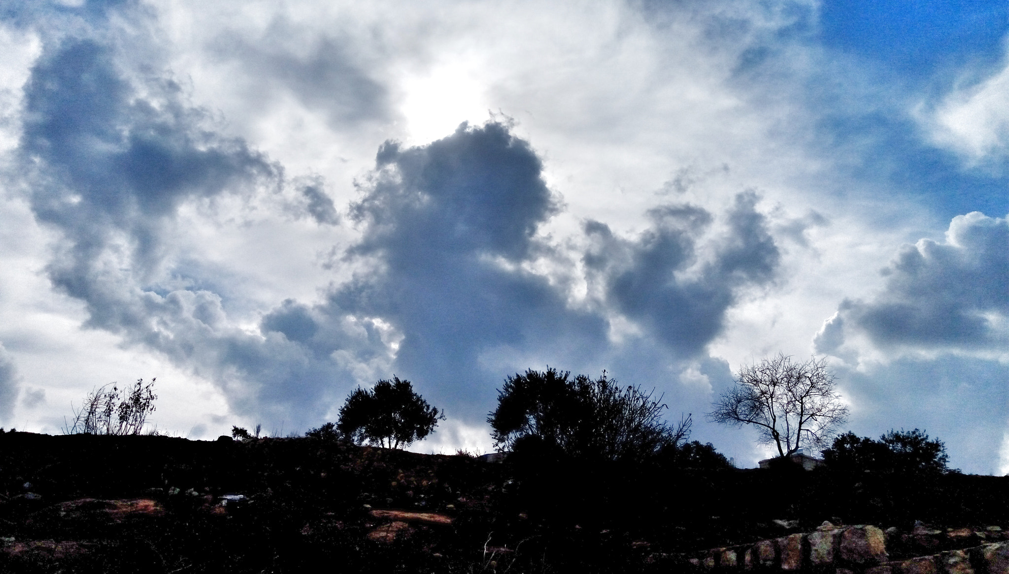 HTC DESIRE 728G DUAL SIM sample photo