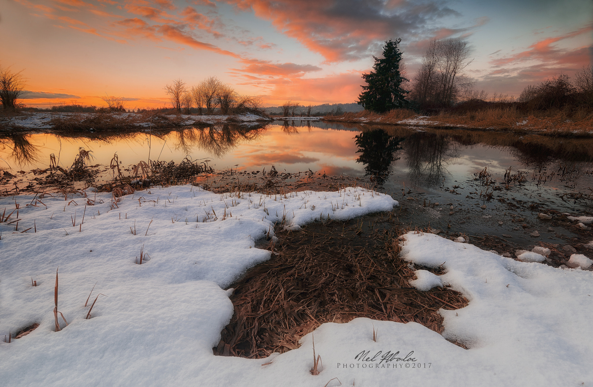 Nikon D800 sample photo. Painted sky photography