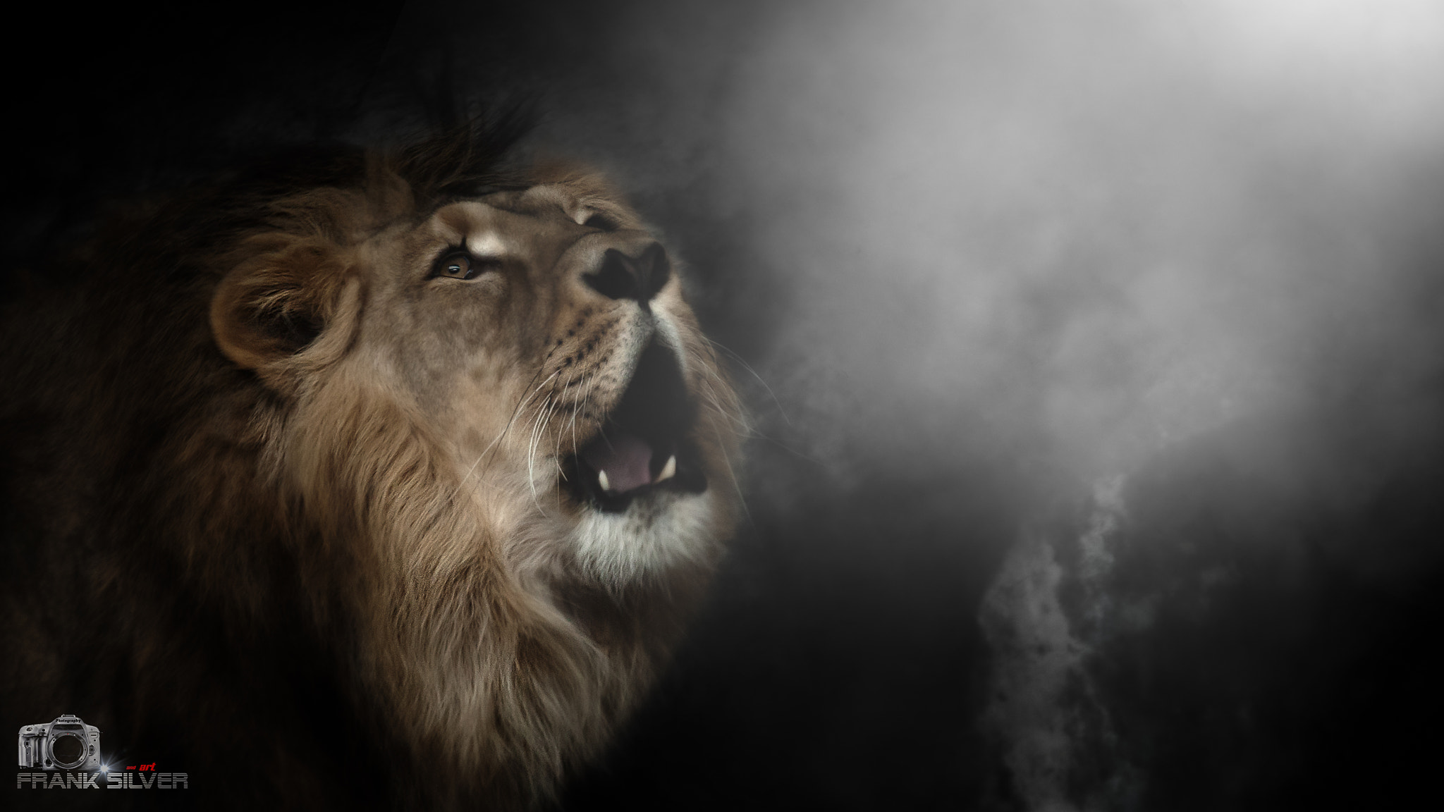 Sigma 70-200mm F2.8 EX DG OS HSM sample photo. Lions roar photography