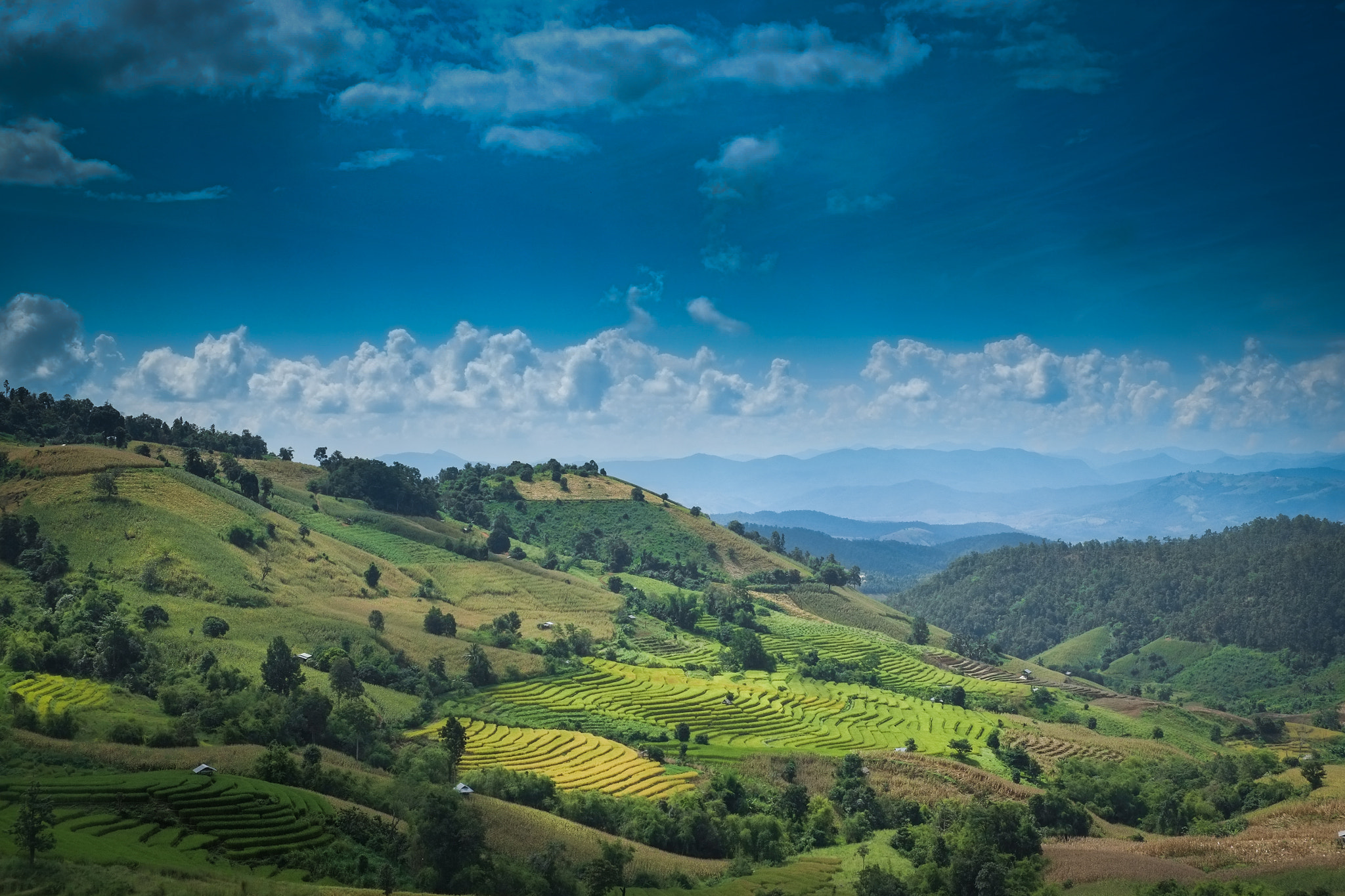 Fujifilm X-Pro1 + Fujifilm XF 18-55mm F2.8-4 R LM OIS sample photo. Rice terrace in mae chaem, chiang mai photography