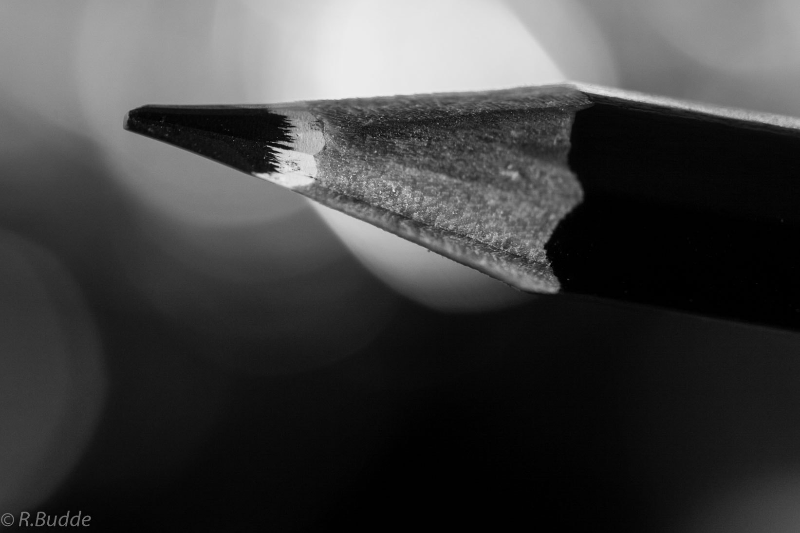 Sony ILCA-77M2 sample photo. Pointed photography