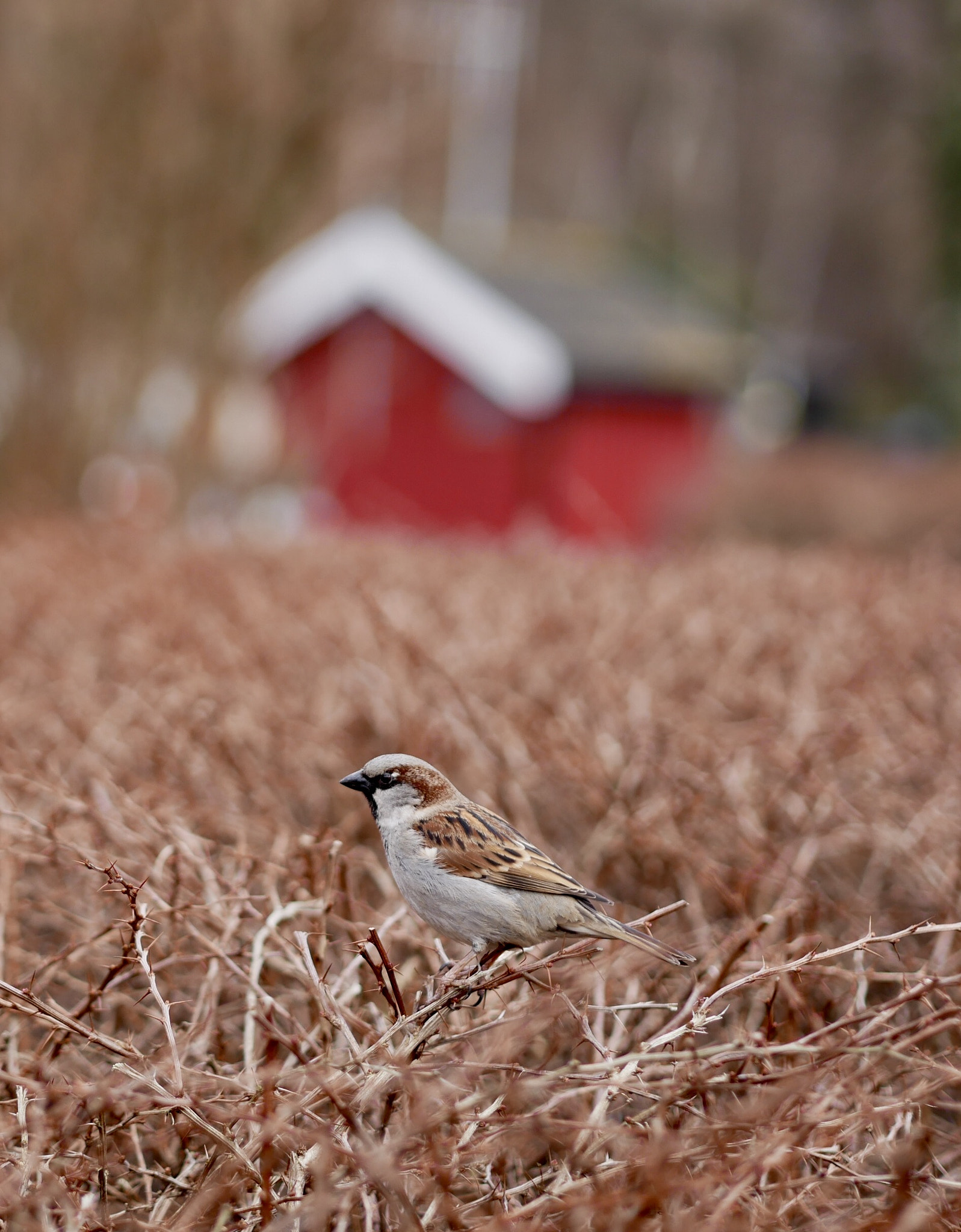 Panasonic Lumix DMC-GX85 (Lumix DMC-GX80 / Lumix DMC-GX7 Mark II) sample photo. Hike with my panasonic lumix gx80 photography