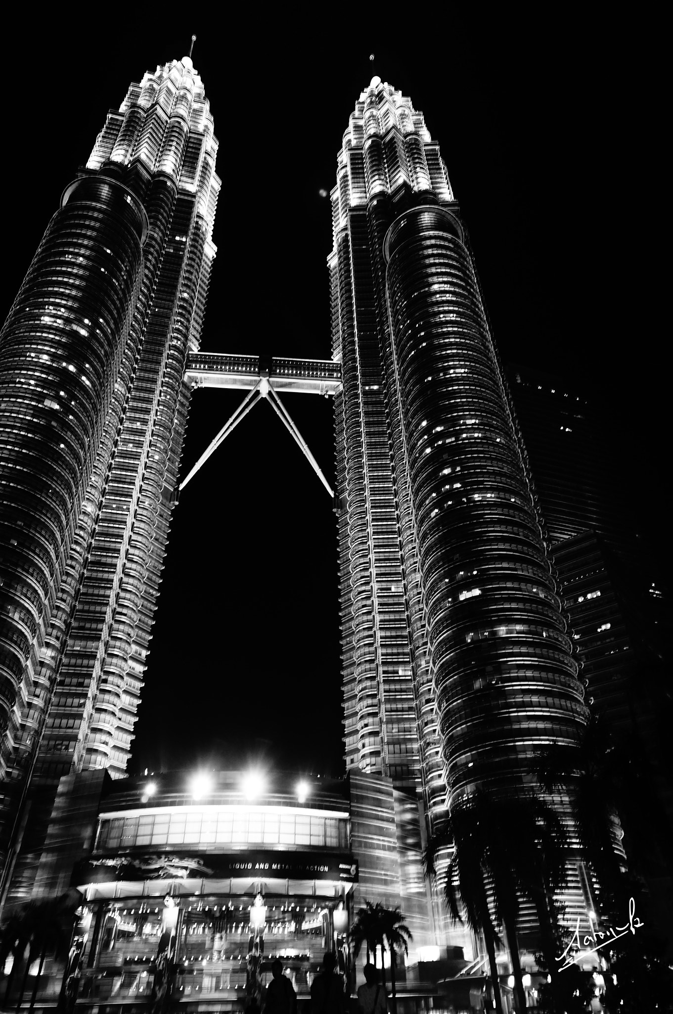 Sony Alpha NEX-6 sample photo. Twin towers in black and white photography