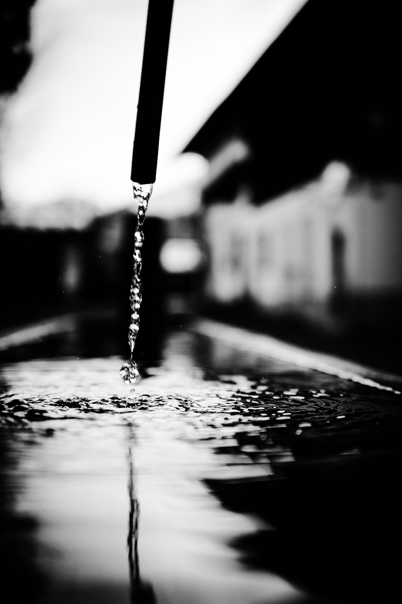 Panasonic Lumix DMC-GX8 + Panasonic Leica DG Summilux 25mm F1.4 II ASPH sample photo. Waterdrops photography