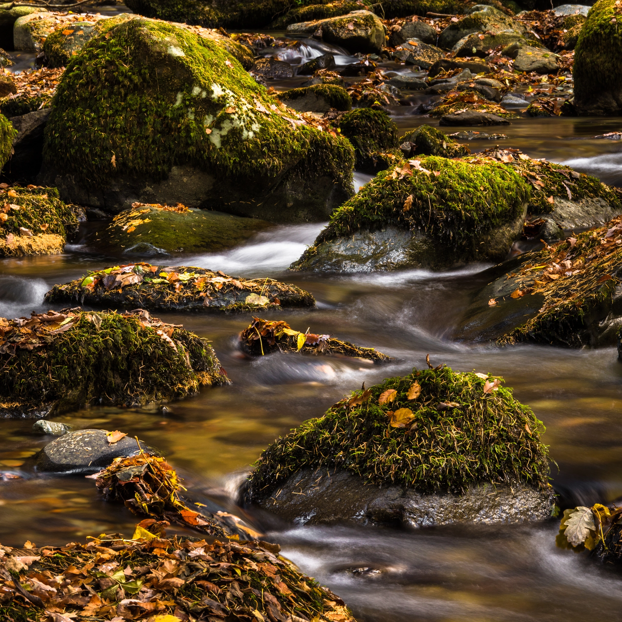 Canon EOS 7D Mark II + Sigma 24-105mm f/4 DG OS HSM | A sample photo. Water and rocks photography