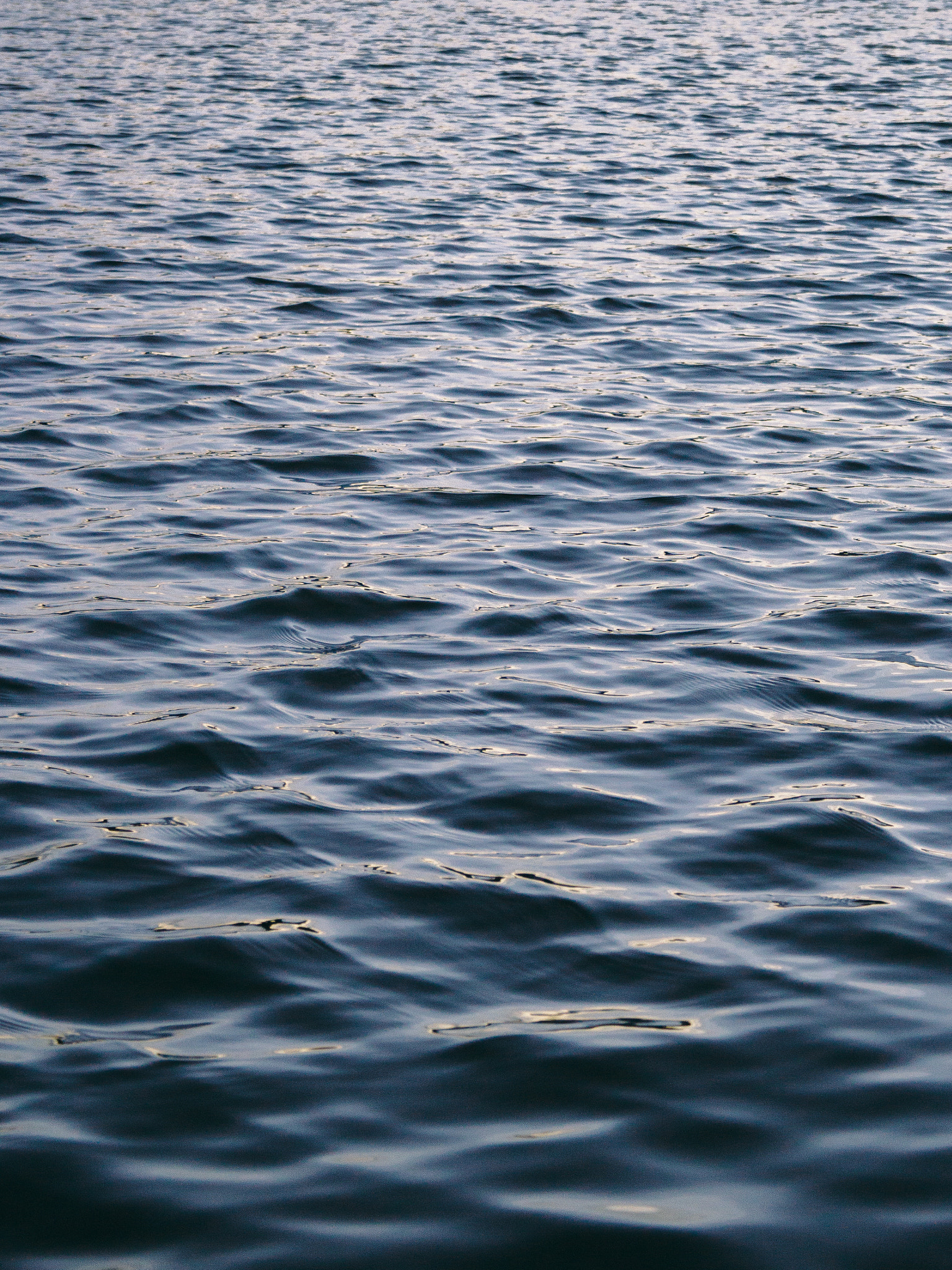 Canon EF-S 18-55mm F3.5-5.6 II sample photo. Golden hour on lagoon photography