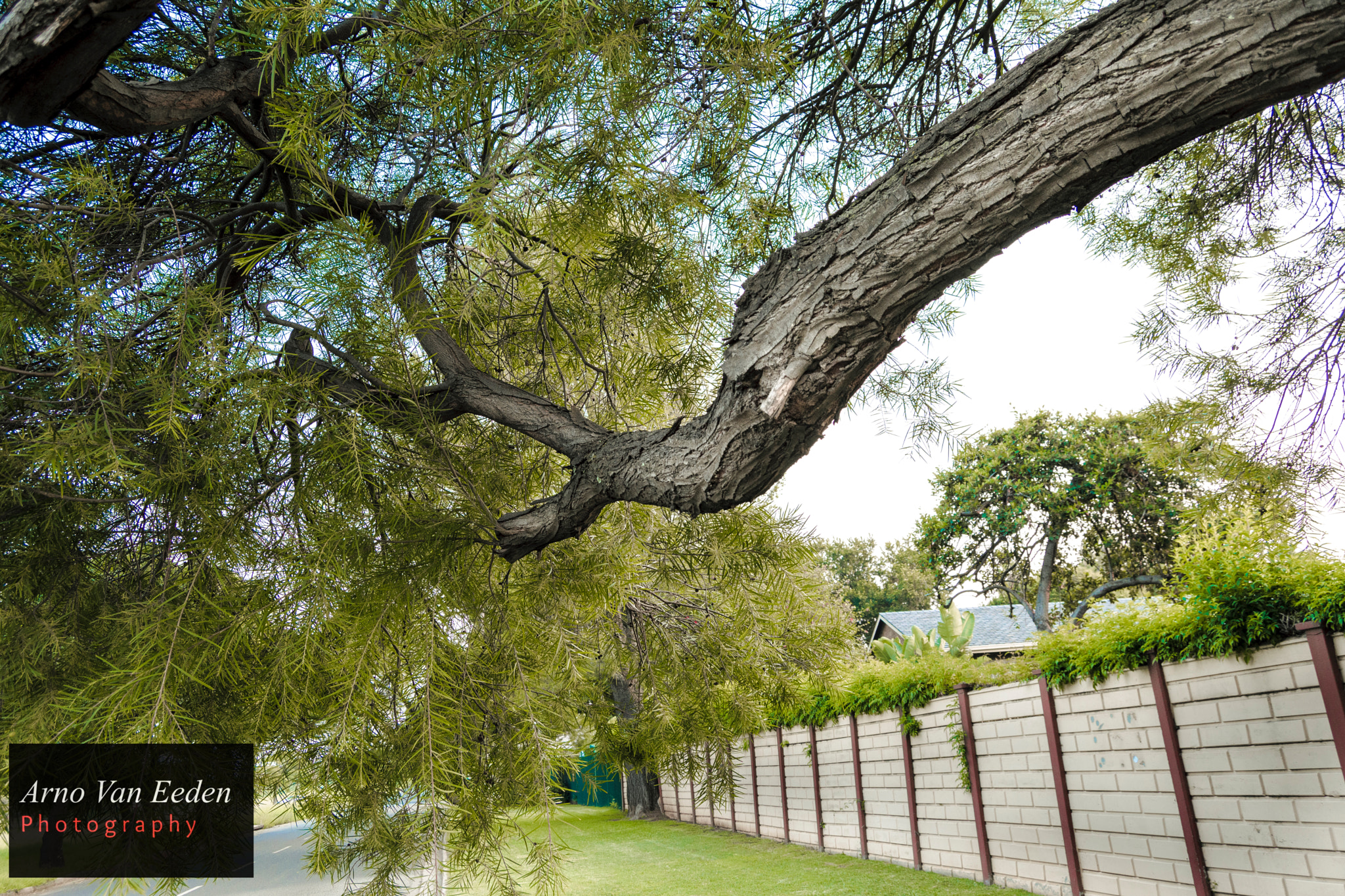 Nikon D7200 sample photo