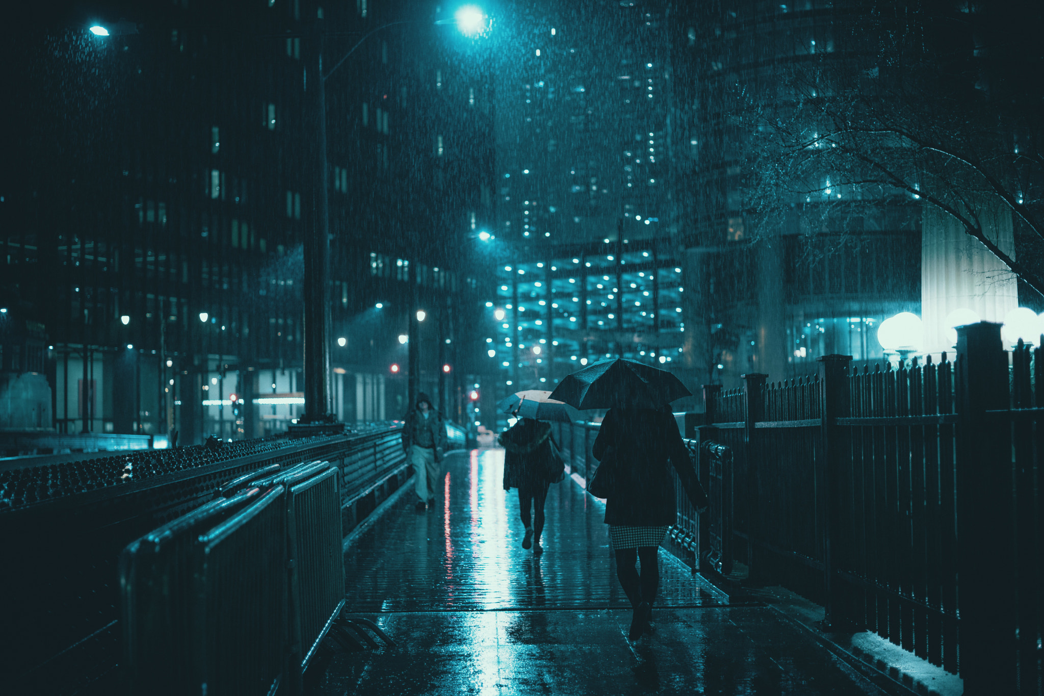 E 50mm F2 sample photo. {snowcrash} photography