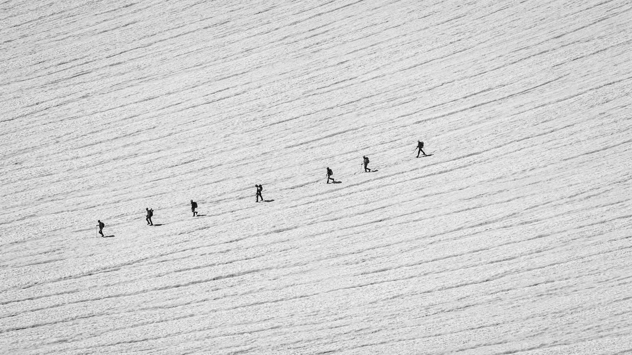 Canon EOS 450D (EOS Rebel XSi / EOS Kiss X2) + Canon EF-S 55-250mm F4-5.6 IS sample photo. Hiker on the white glacier - massif des ecrins photography