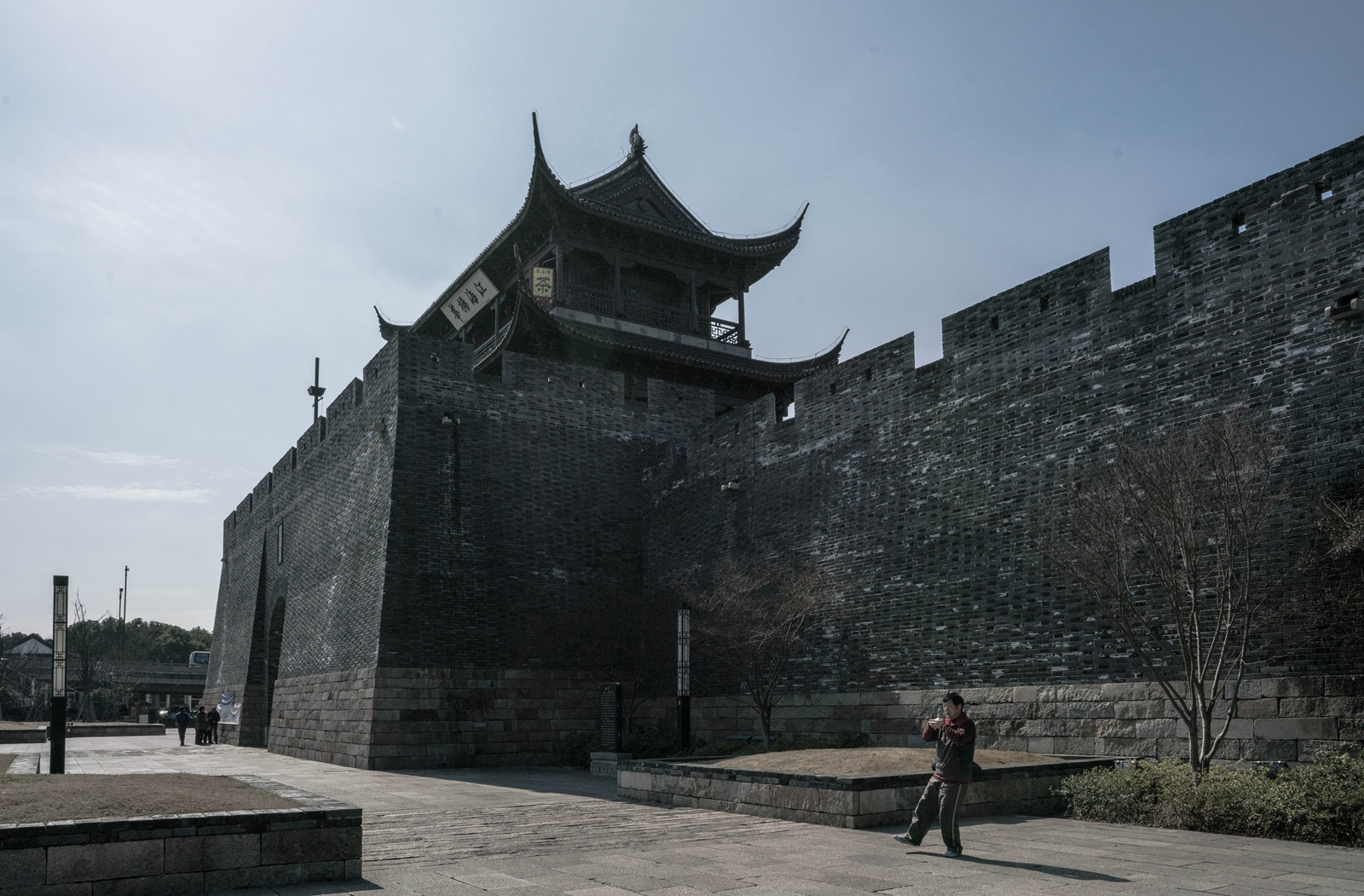 ZEISS Batis 25mm F2 sample photo. Tai chi photography