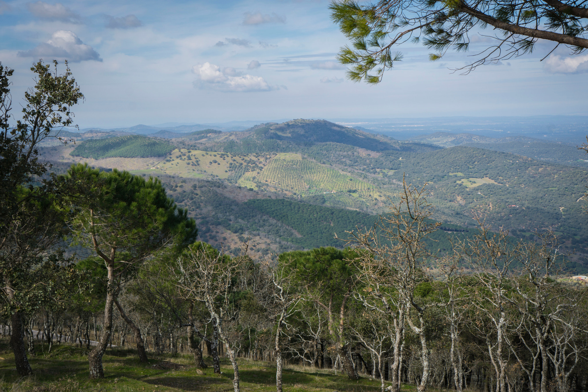Sony a6000 + Sony E 18-55mm F3.5-5.6 OSS sample photo. Monasterio de tentudia photography