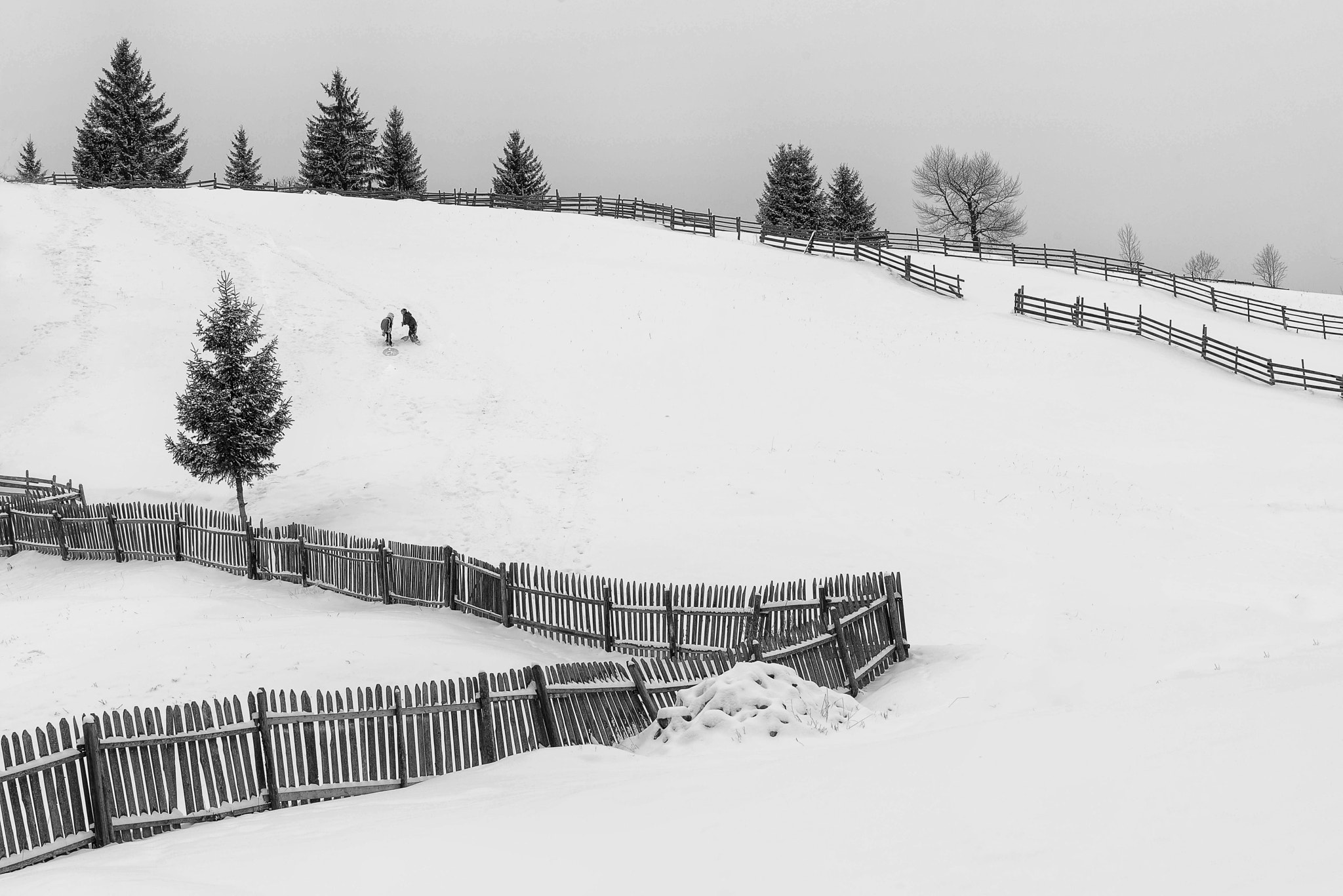 Nikon D810 sample photo. Rural winter scene photography