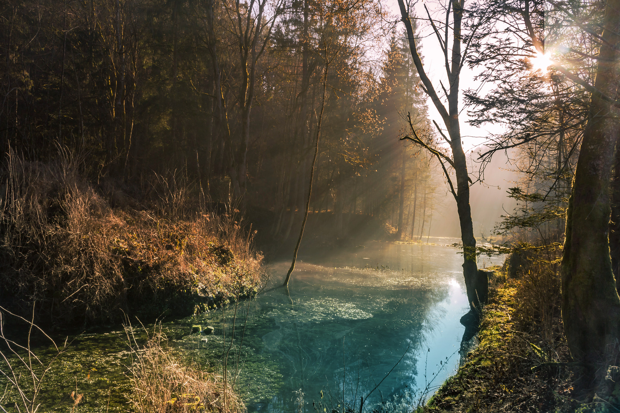 Canon EF-S 18-55mm F3.5-5.6 IS sample photo. Der hasenbach photography