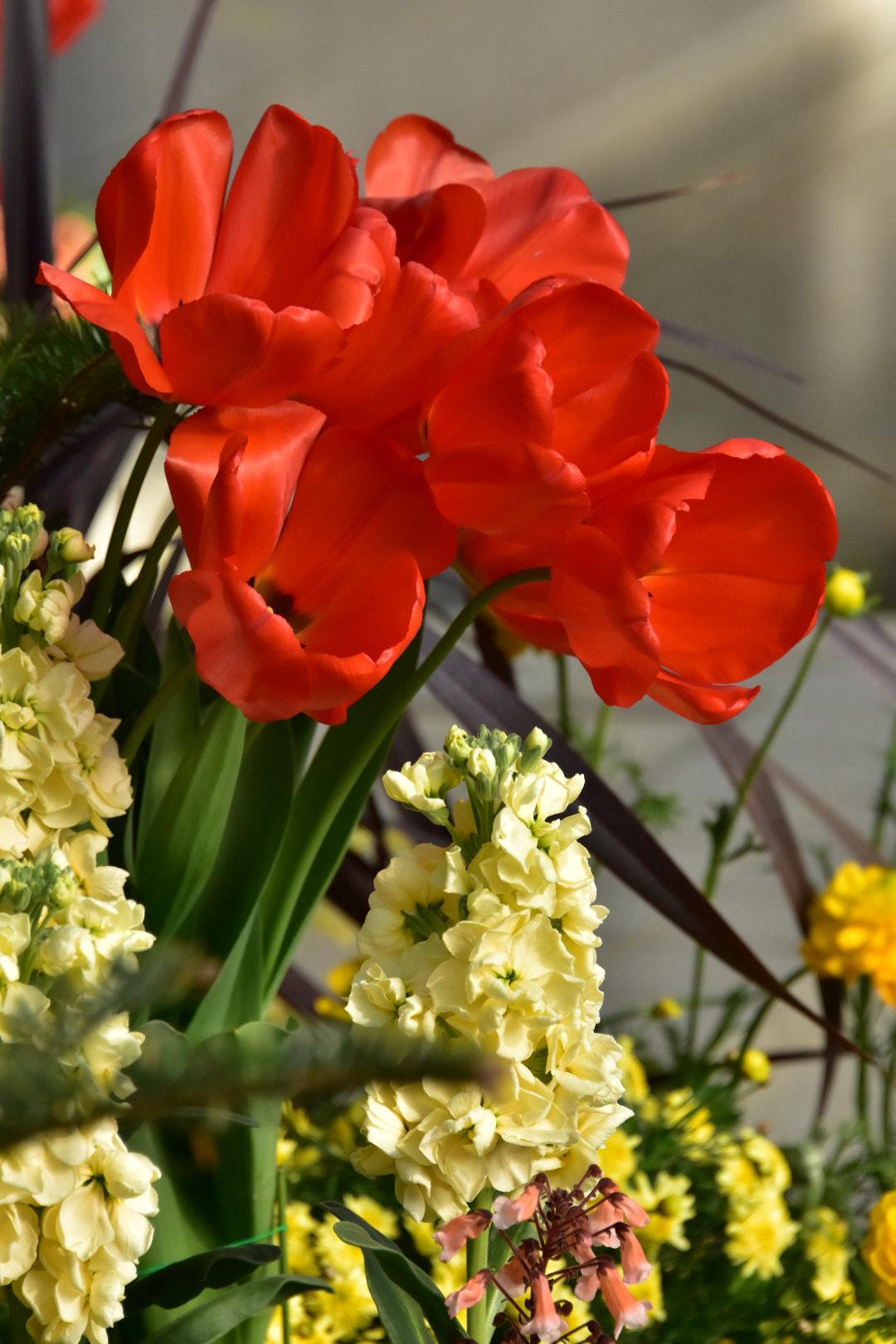 Nikon D7200 sample photo