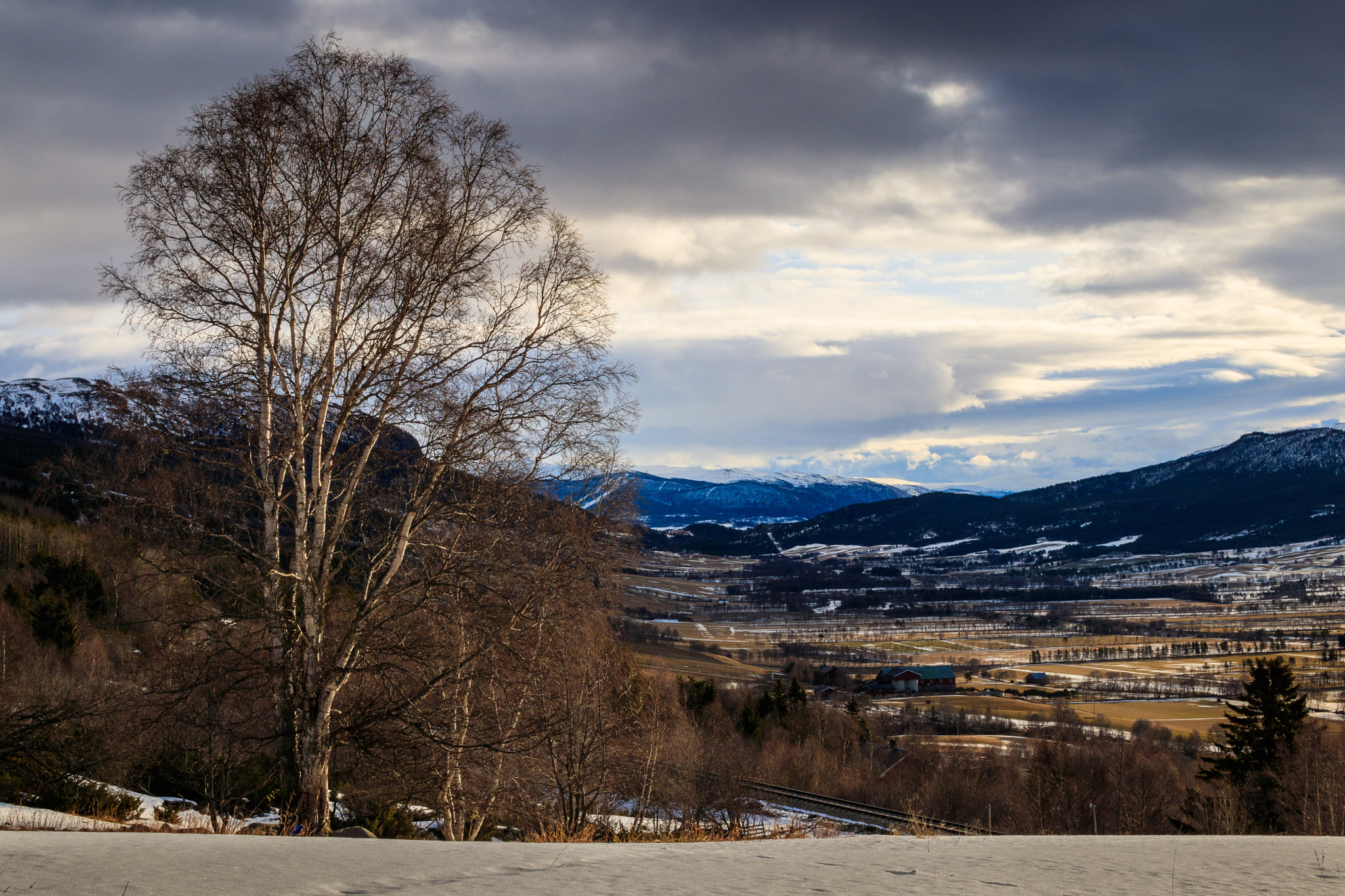 Sigma 30mm F1.4 EX DC HSM sample photo. View at lesja photography