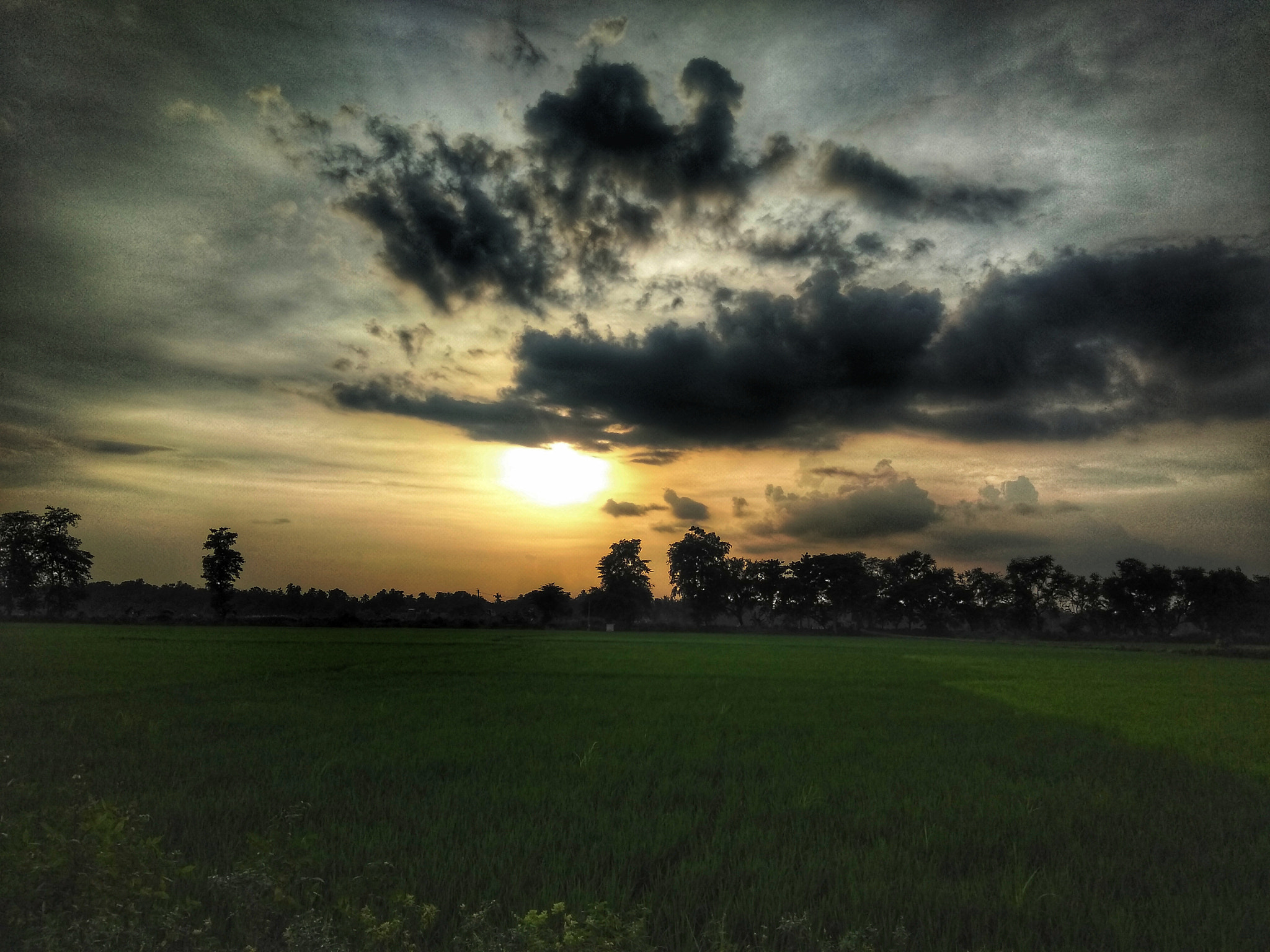 LeMobile Le X526 sample photo