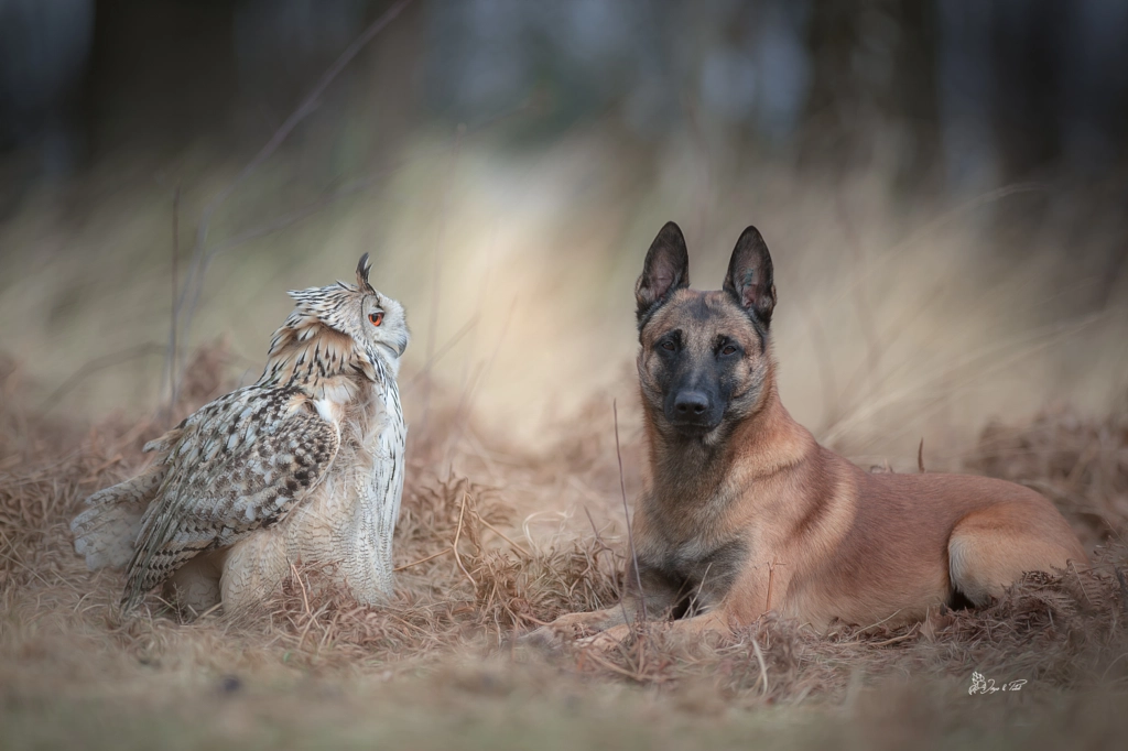 storm by Tanja Brandt on 500px.com